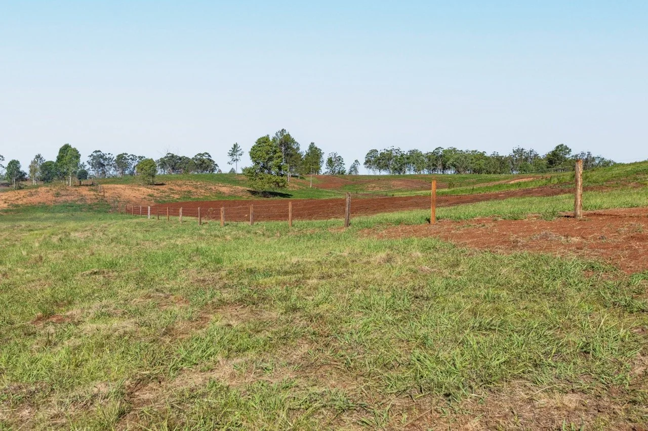 Jack van Tricht -23 Large.jpeg