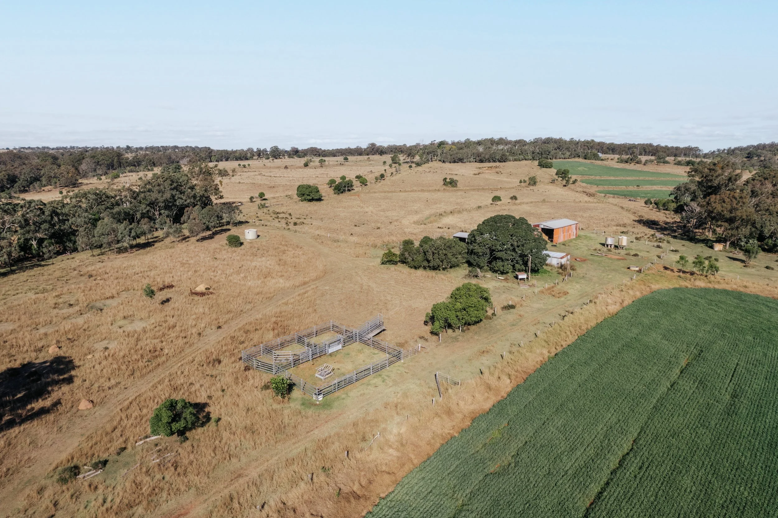 Jack van Tricht -916.jpeg