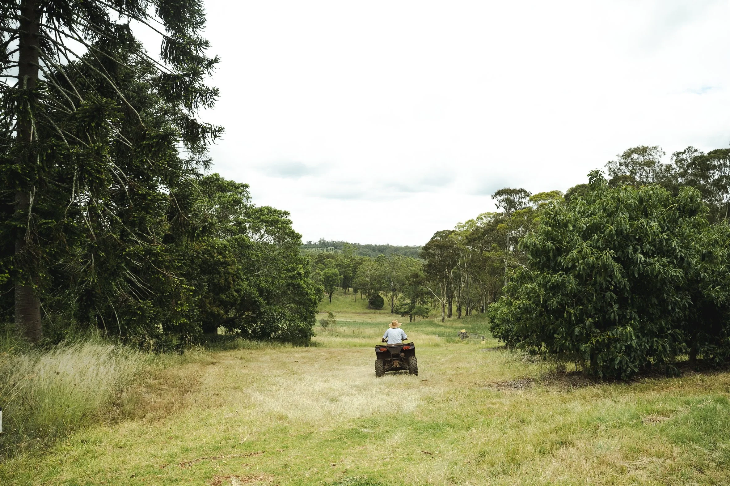 124 Acres - 1322 Nukku - Mt Binga Rd, Gilla QLD