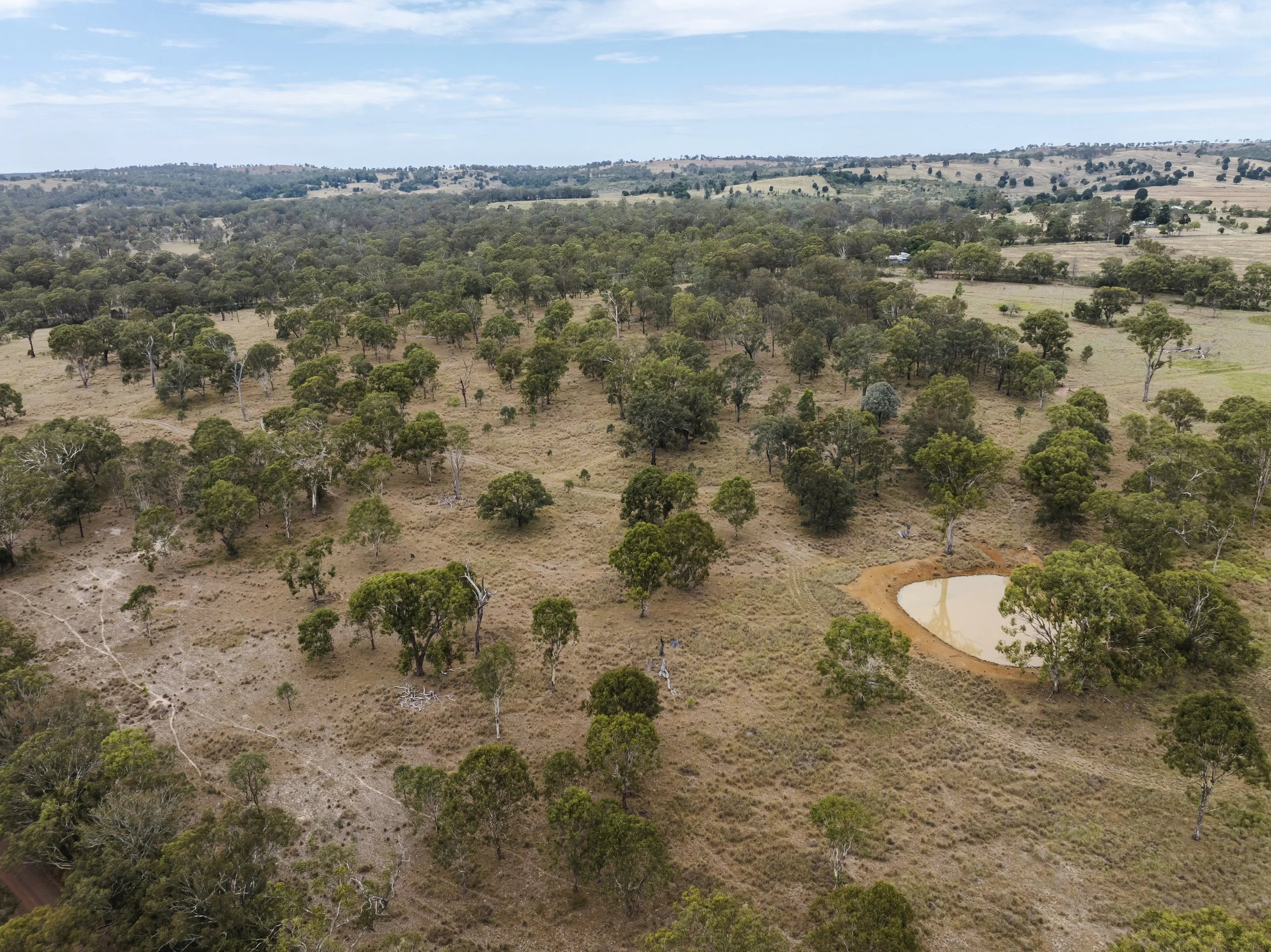 DJI_0975.jpg