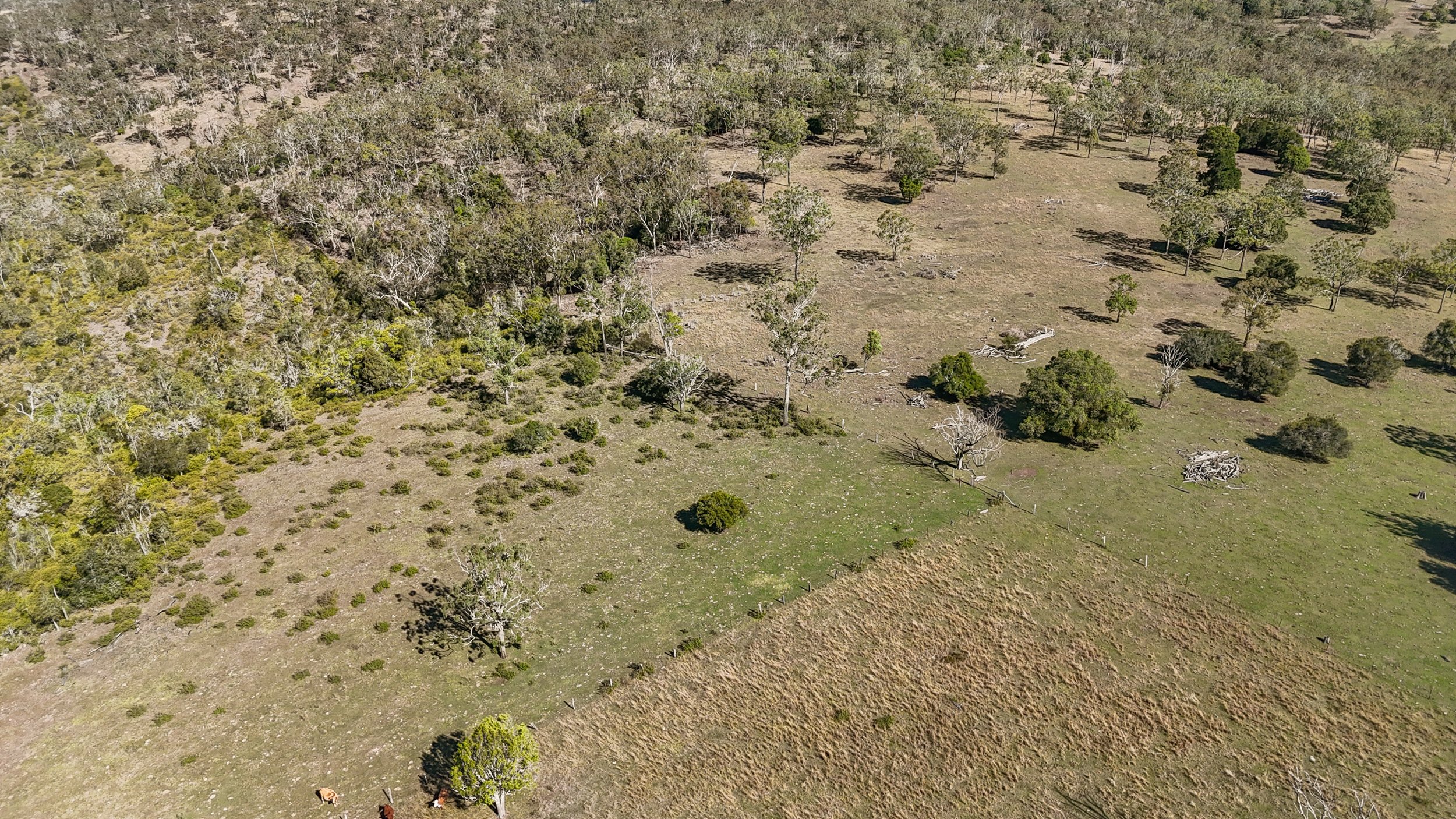 DJI_0116_D.jpg
