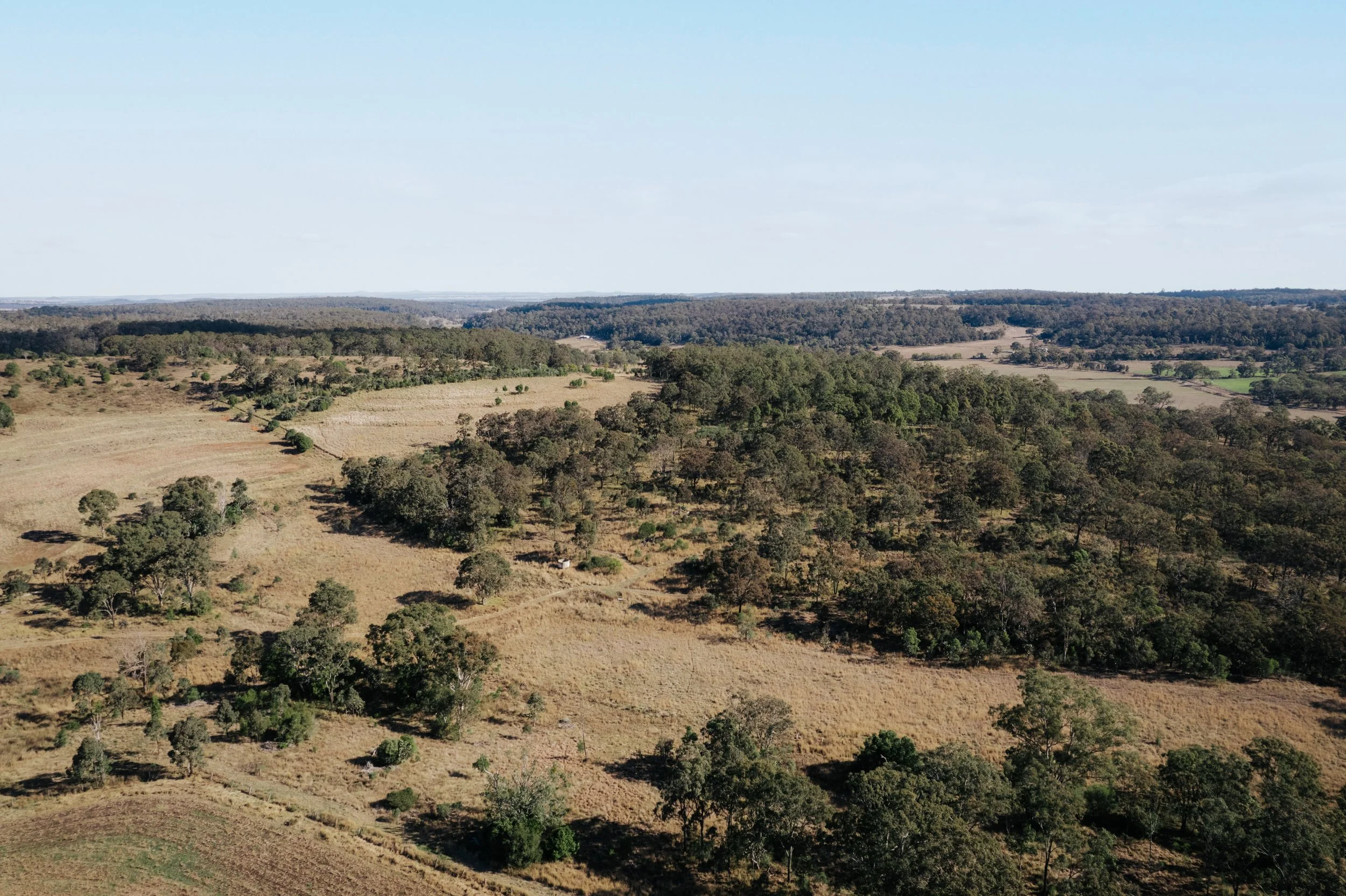 Jack van Tricht -913.jpeg