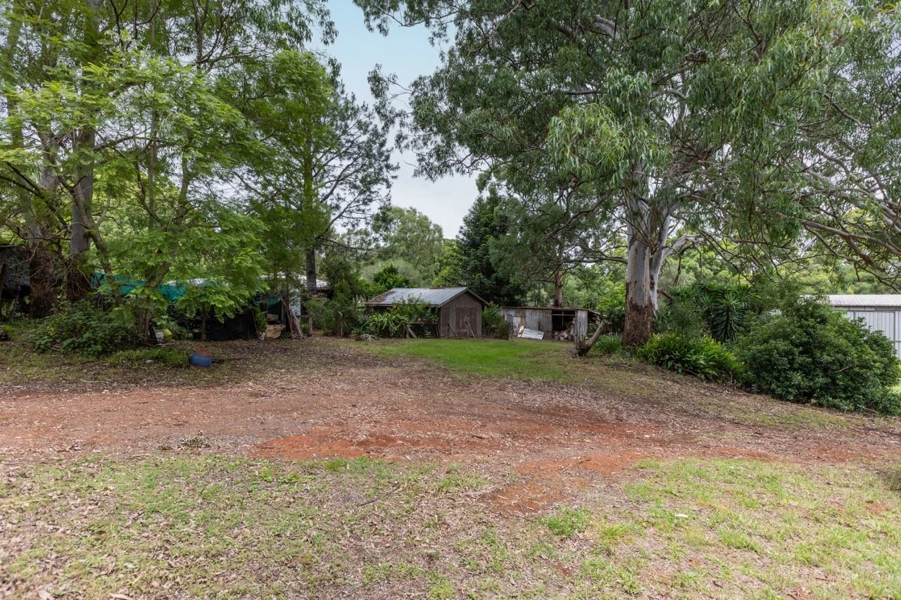 Jack van Tricht -105 Large.jpeg