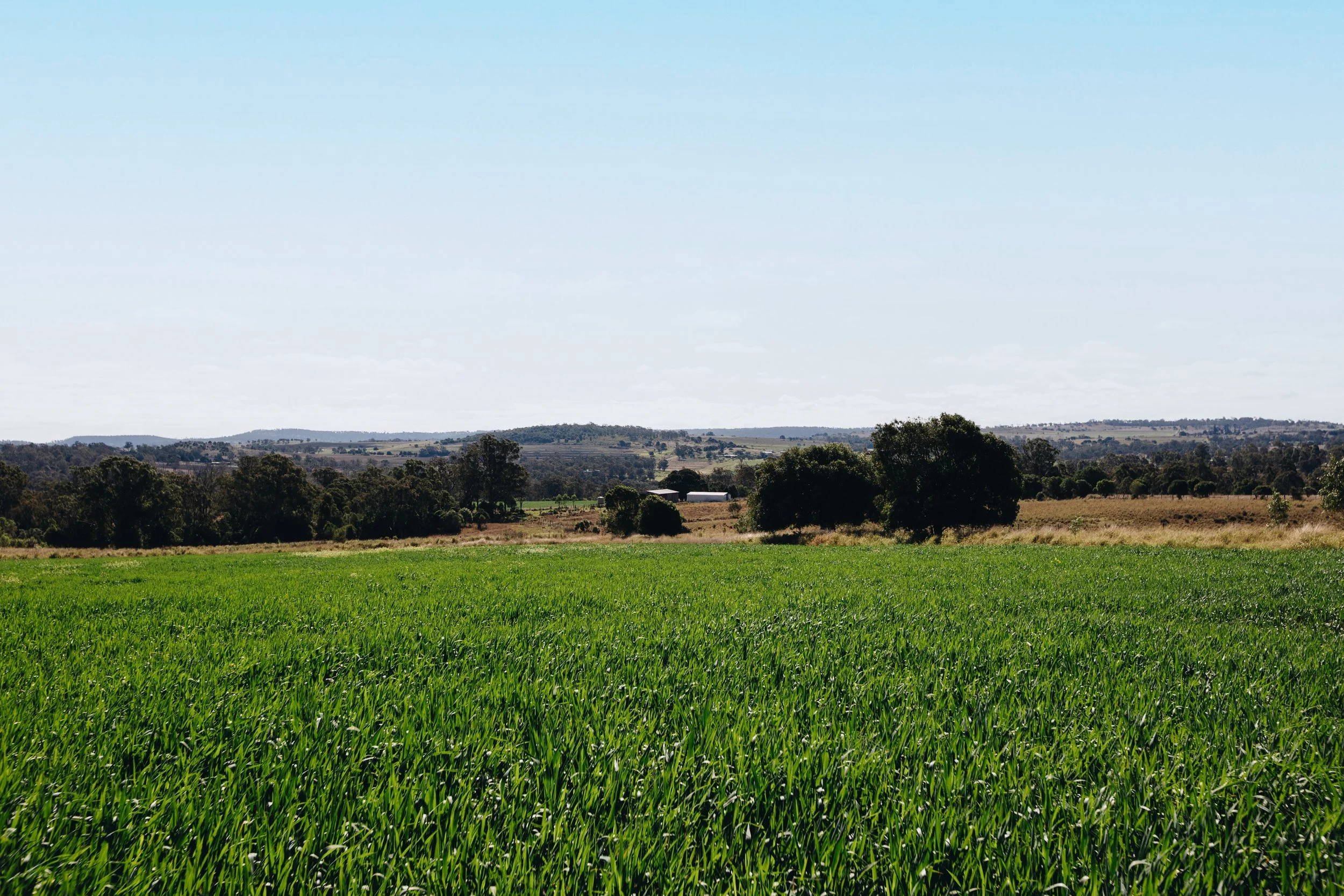 Jack van Tricht -899.jpeg