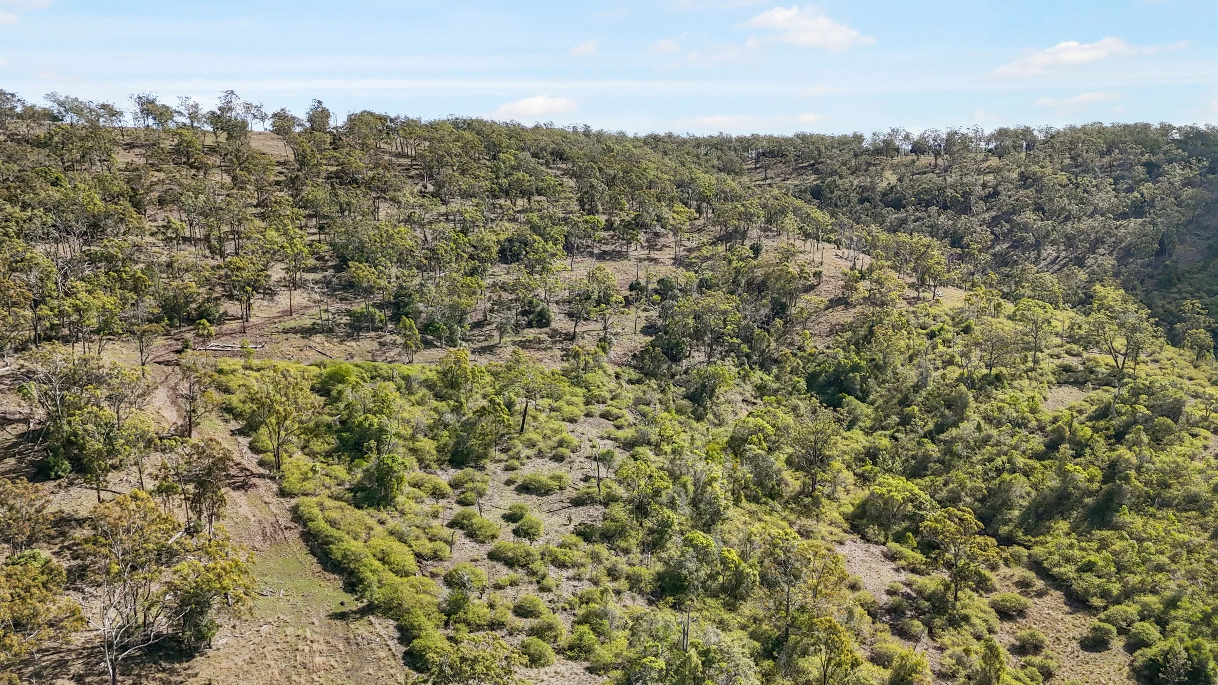 DJI_0109_D.jpg