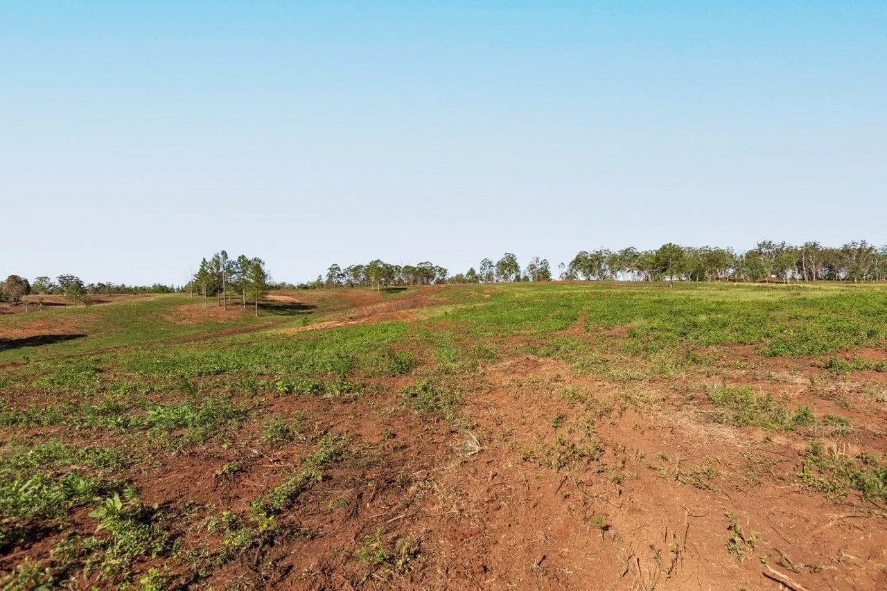 Jack van Tricht -25 Large.jpeg