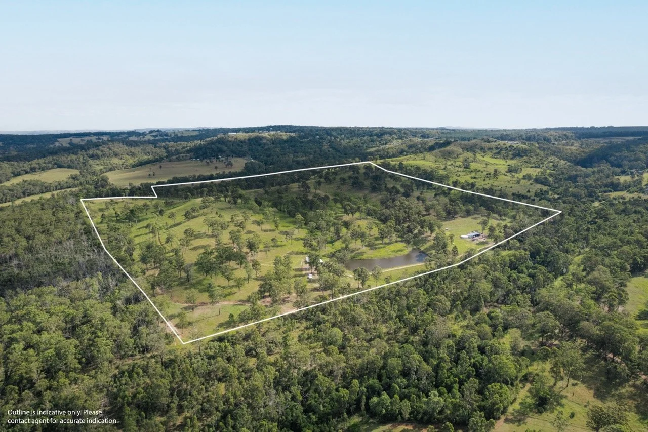 Outline (1) Large.jpeg