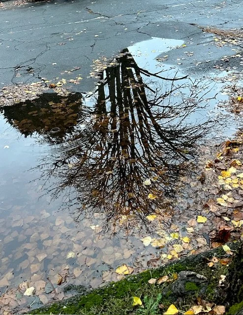 Crafting a Table of Comfort: A Thanksgiving Reflection