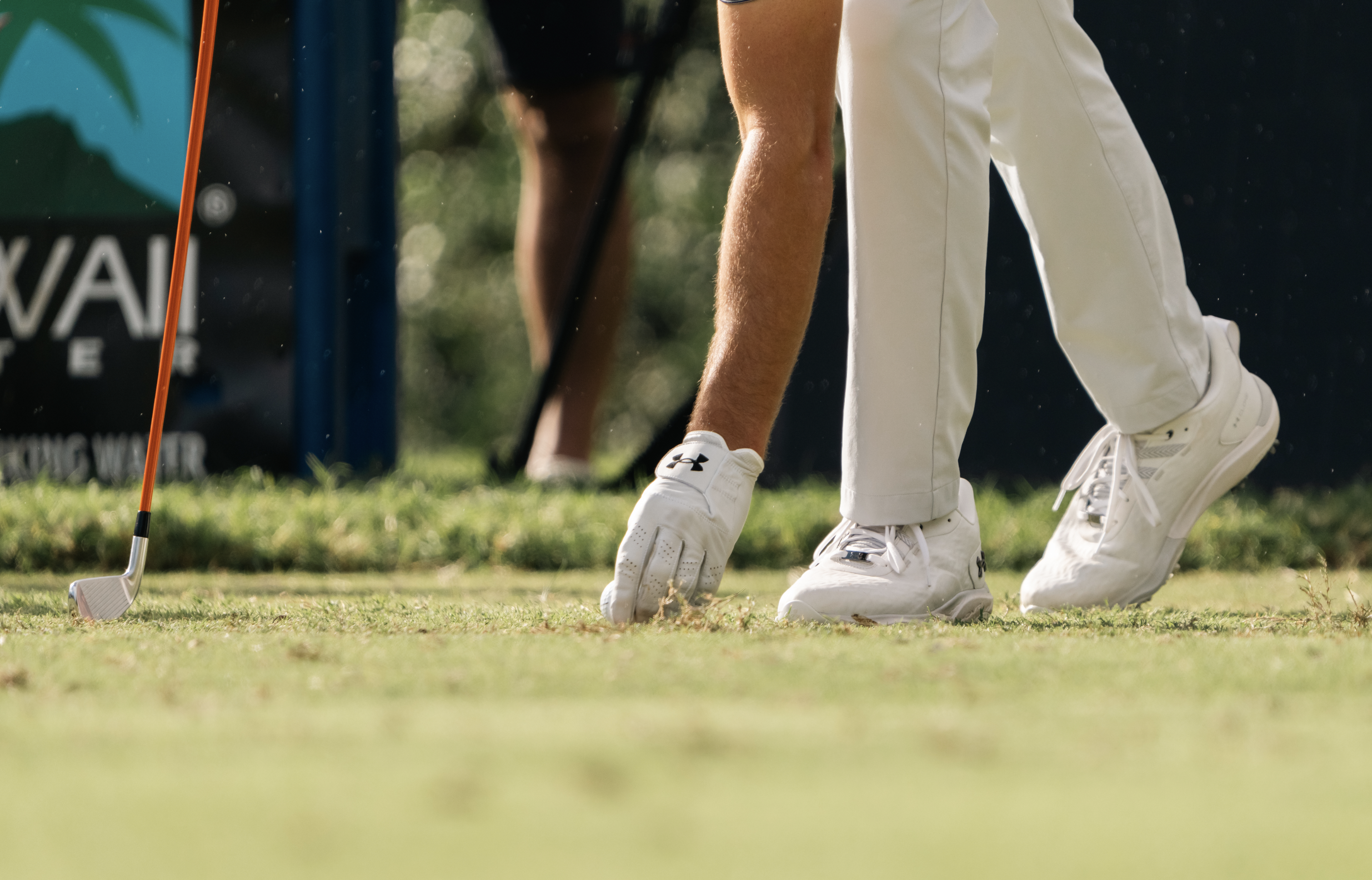 Screenshot 2026-01-29 at 4.23.23 PM.png