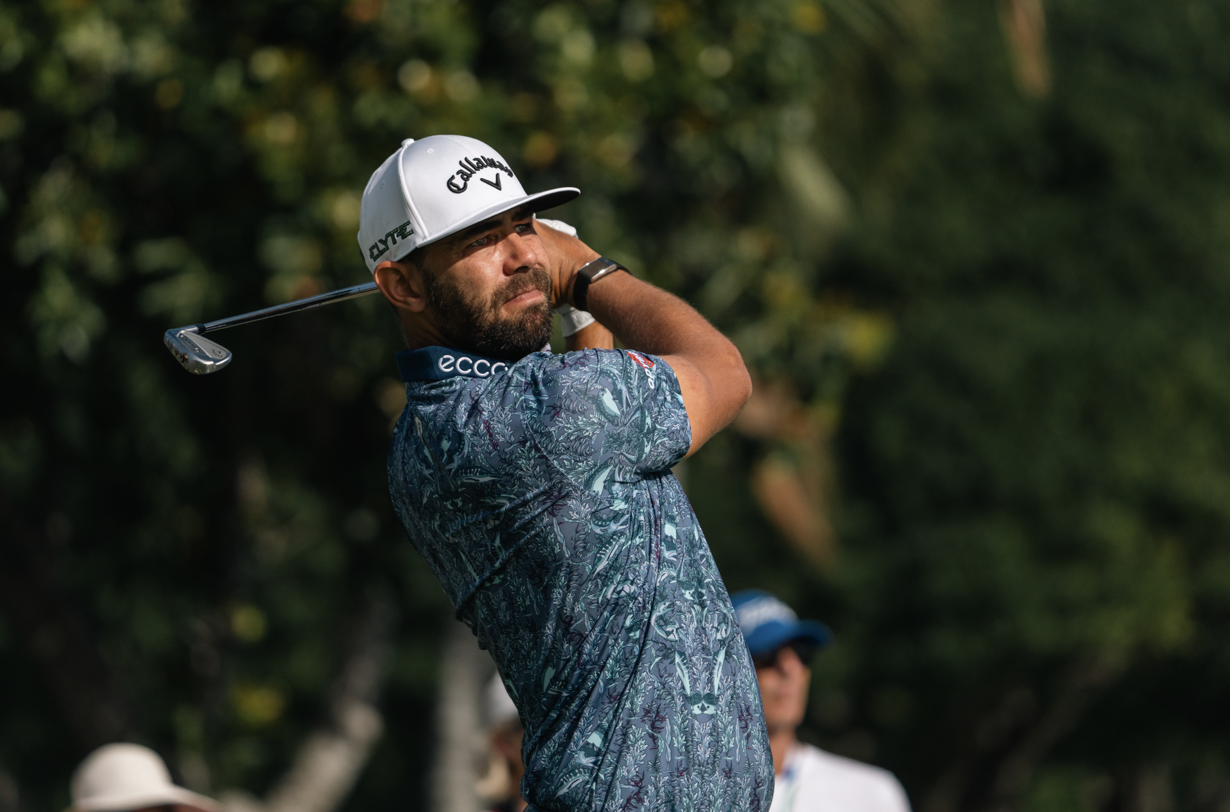 Screenshot 2026-01-29 at 4.22.11 PM.png