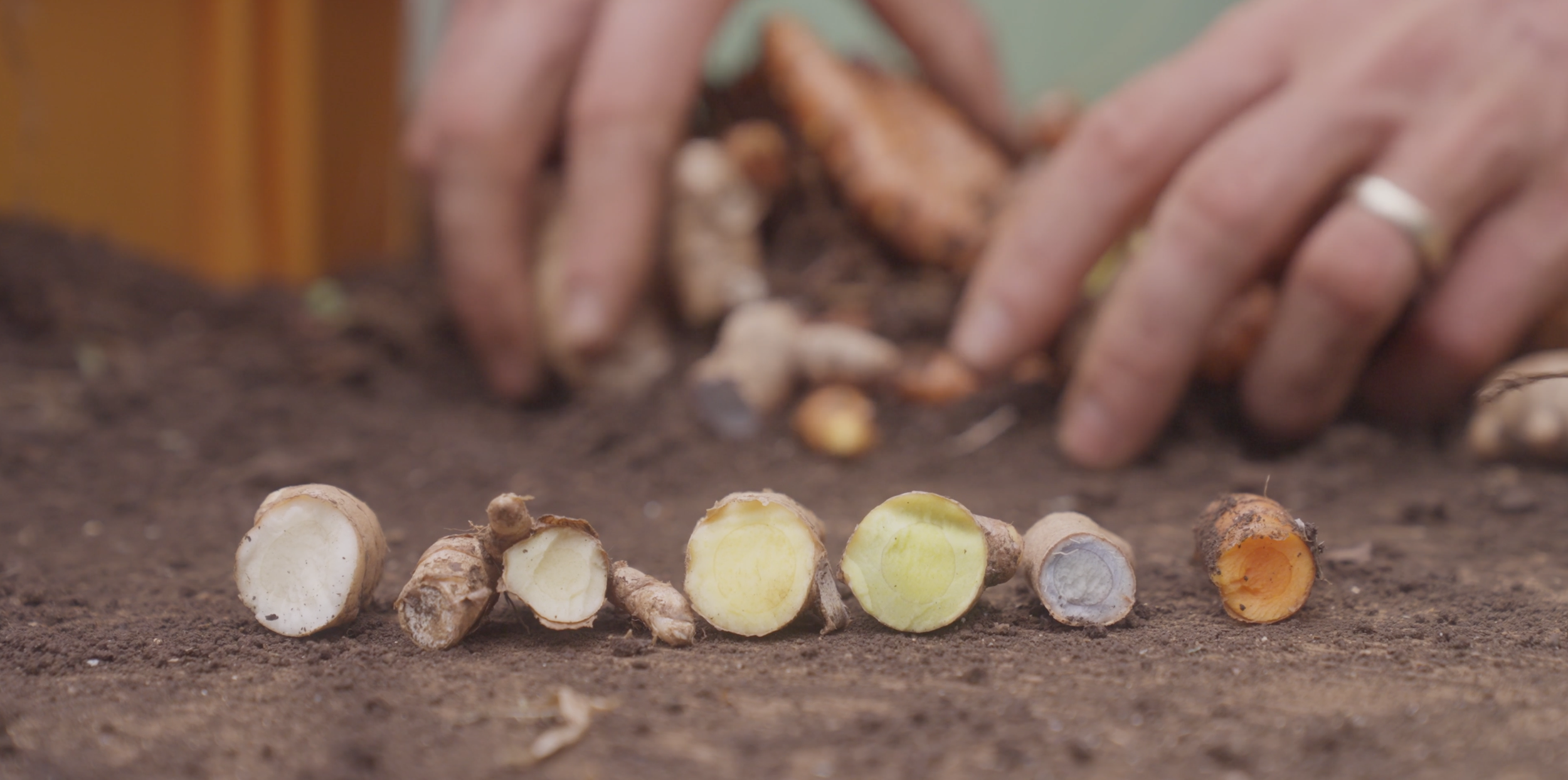 Screenshot 2026-01-30 at 2.35.03 PM.png