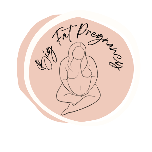 Big Fat Pregnancy