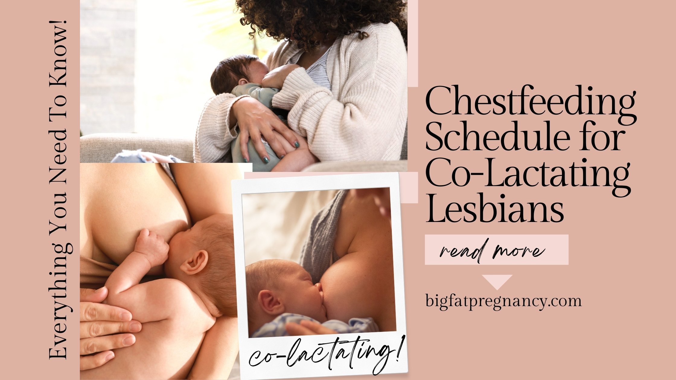 Chest-feeding Schedule for Co-Lactating Lesbians