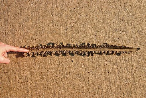 The Line in the Sand