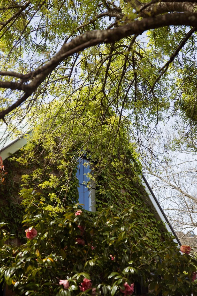 Far Meadow Cottage — Linnaeus Collection