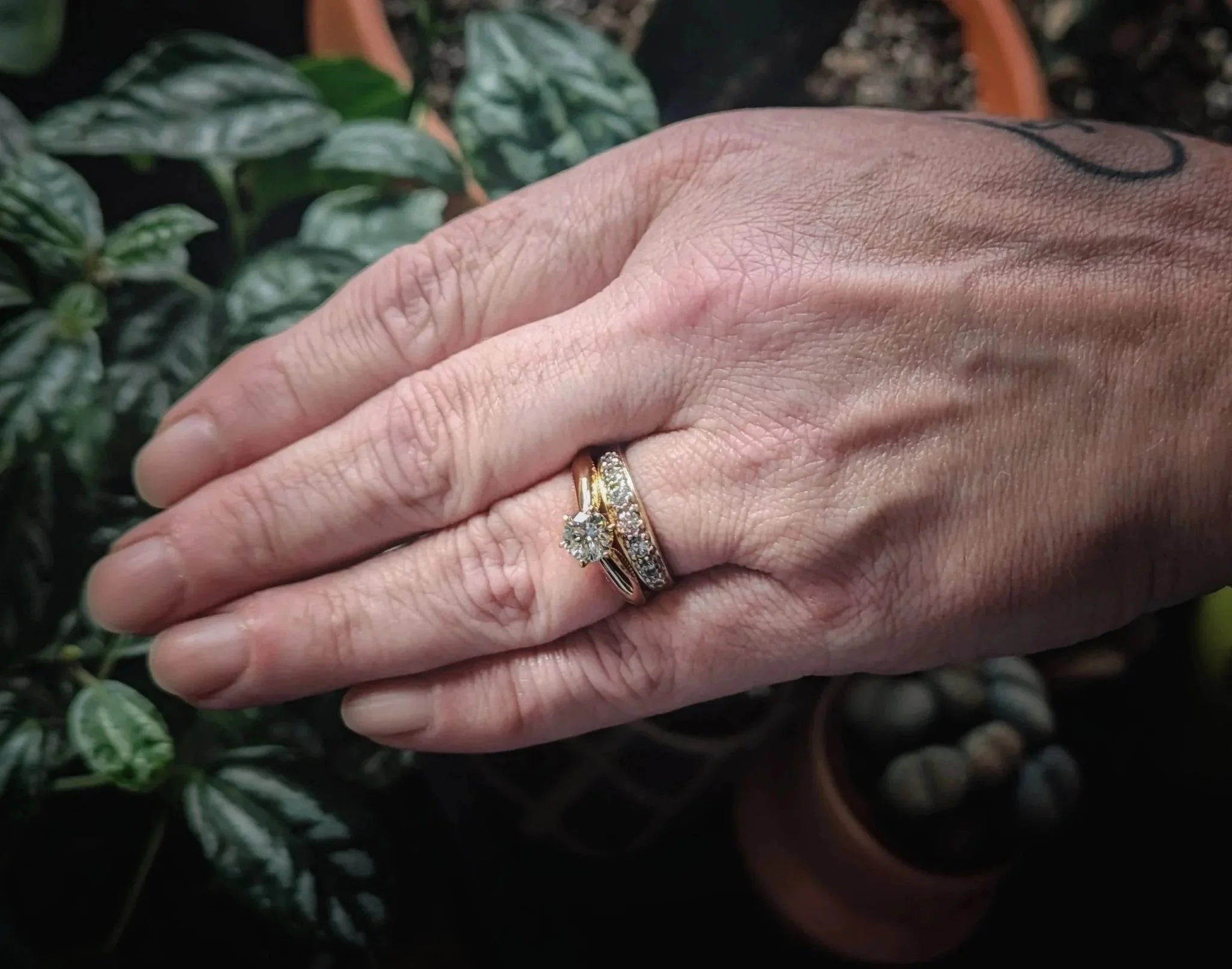Main portant une bague en or sertie d’un diamant commémoratif EverDear, photographiée près de plantes d’intérieur.
