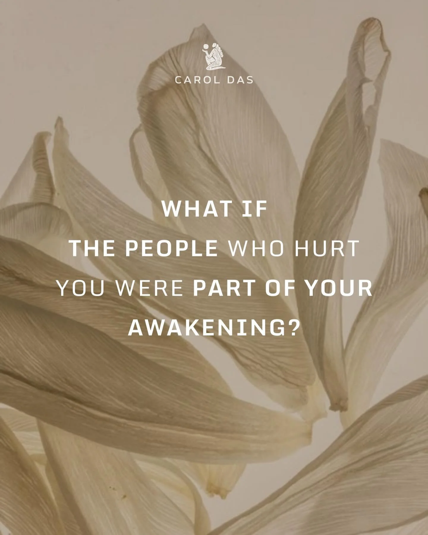 Sometimes awakening arrives disguised as conflict.