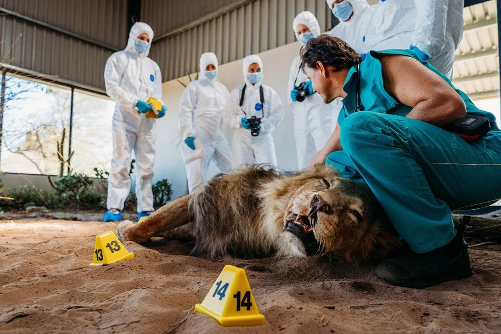 Handson Forensics Training and Internships In South Africa — Wildlife