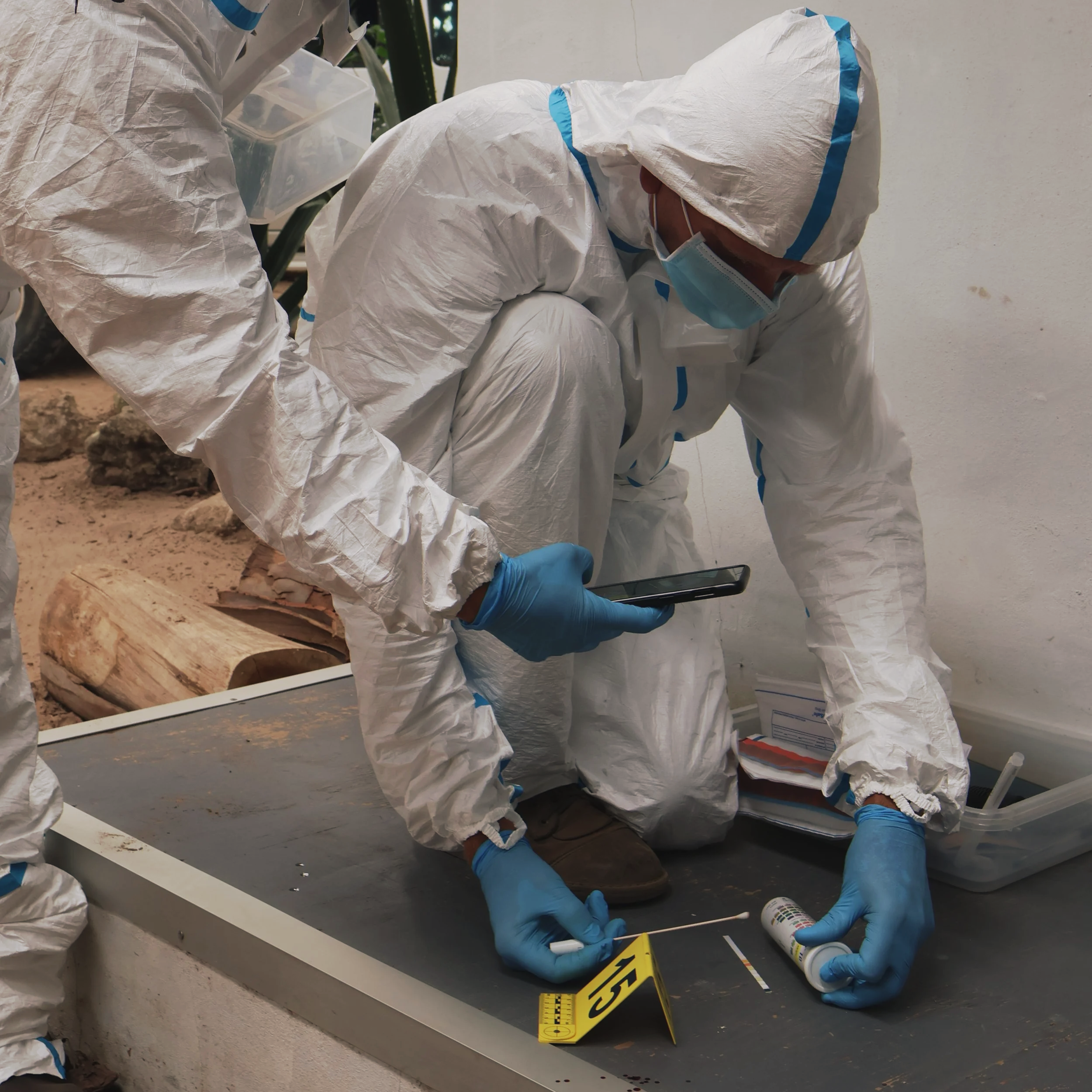 WFA Wildlife Forensic Courses for Professionals