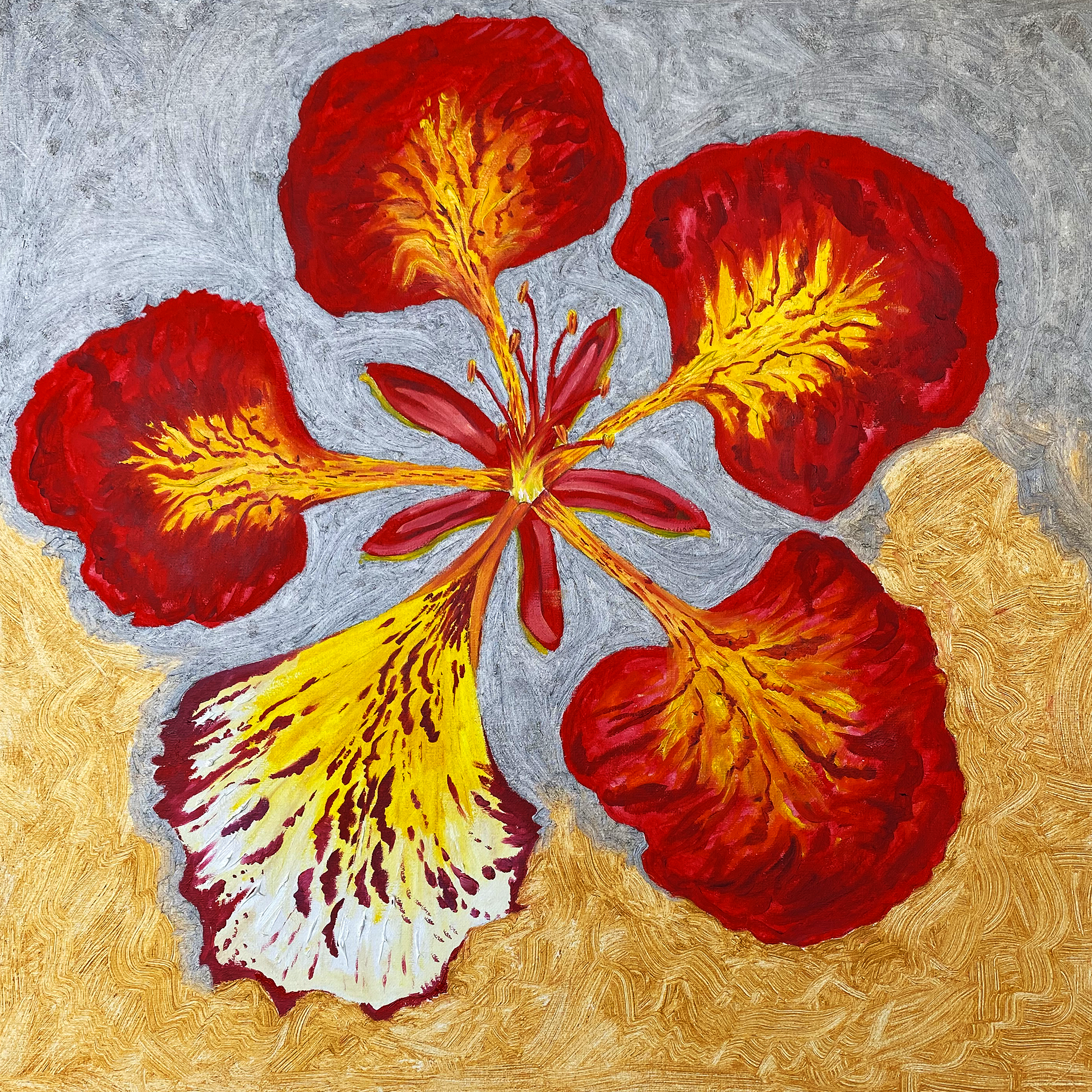 Royal Poinciana