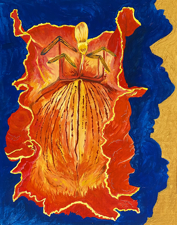 Tulipan spider Flower