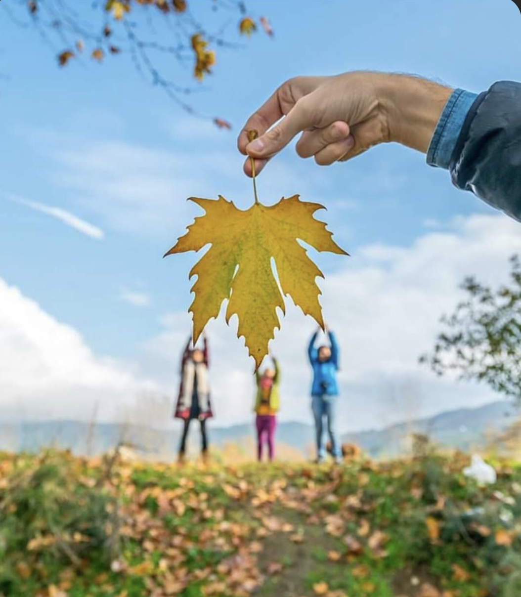 Art Therapy – Radiance