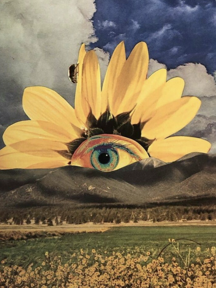 Art Therapy – Nourishment