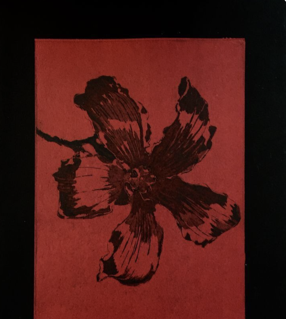 Guided Artistic Program – Anger