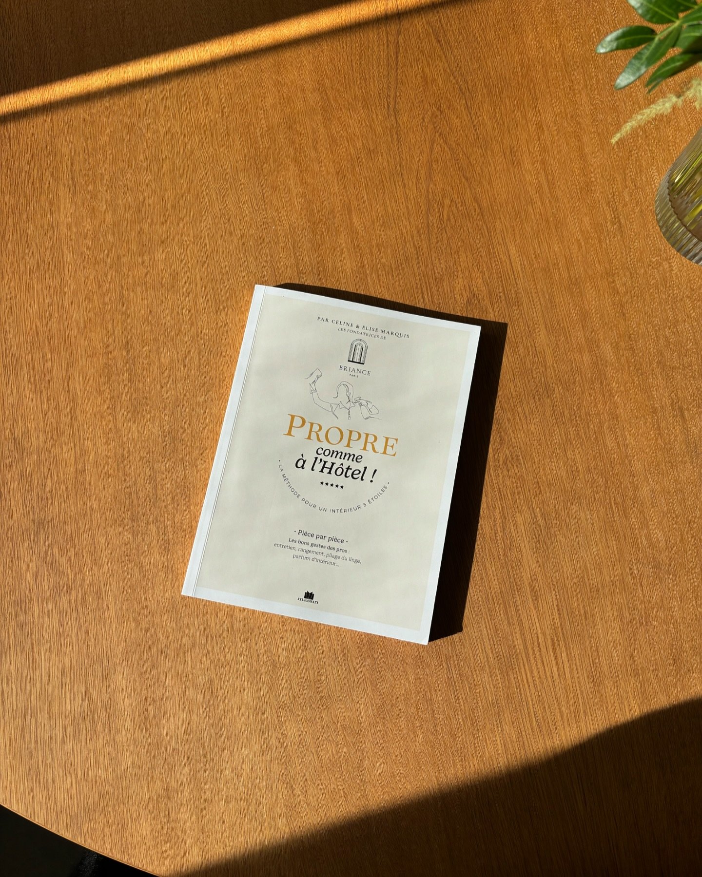 Octobre 24 

Un mois un peu plus slow que d&rsquo;habitude : 
- d&eacute;couvrir l&rsquo;ouvrage de @brianceparis dans lequel j&rsquo;ai eu la chance d&rsquo;intervenir 🤍
- f&ecirc;ter l&rsquo;anniversaire de @nooanceparis en bonne compagnie avec @c