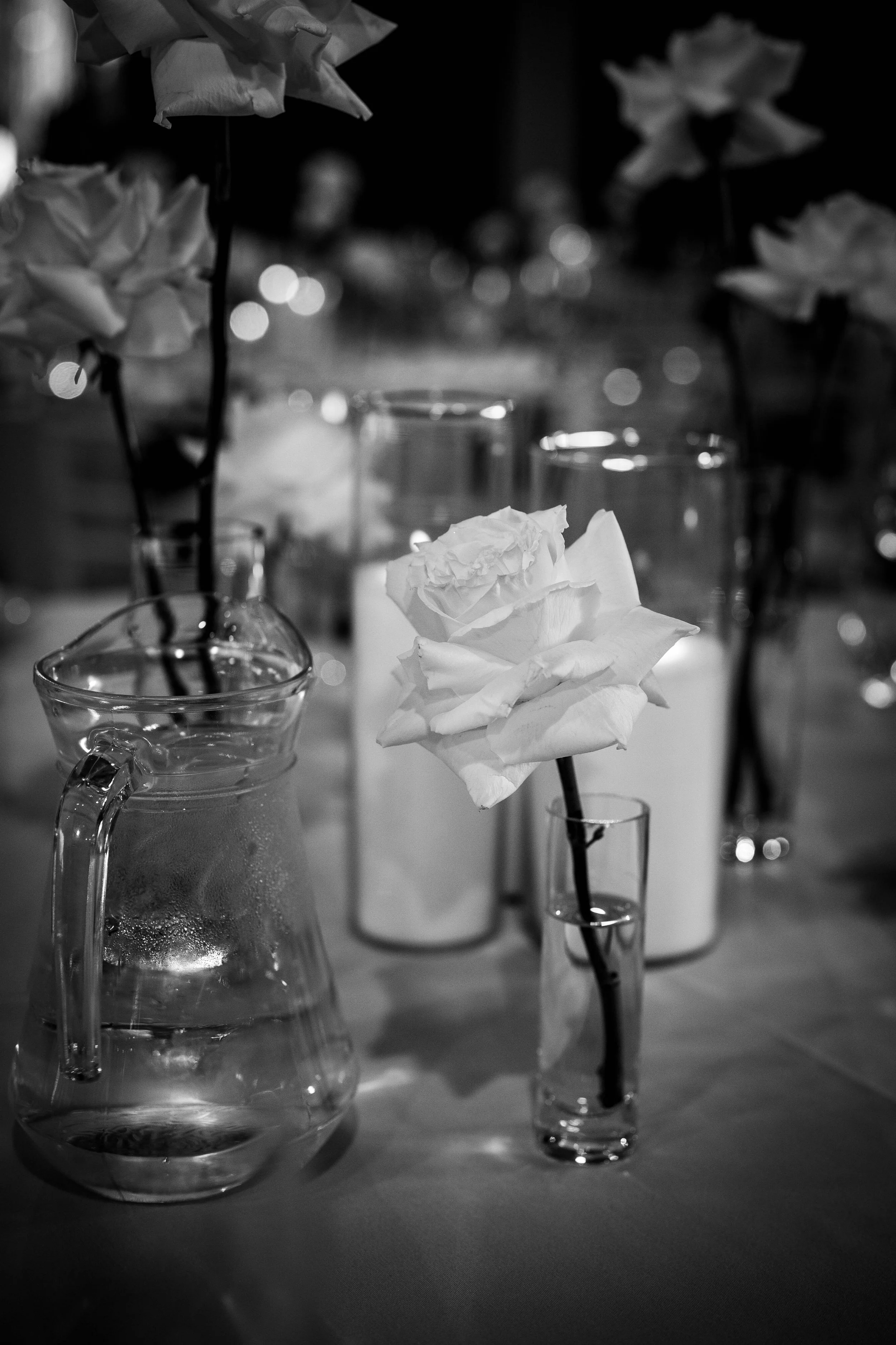 Hayley & Matt. Blog-180.jpg