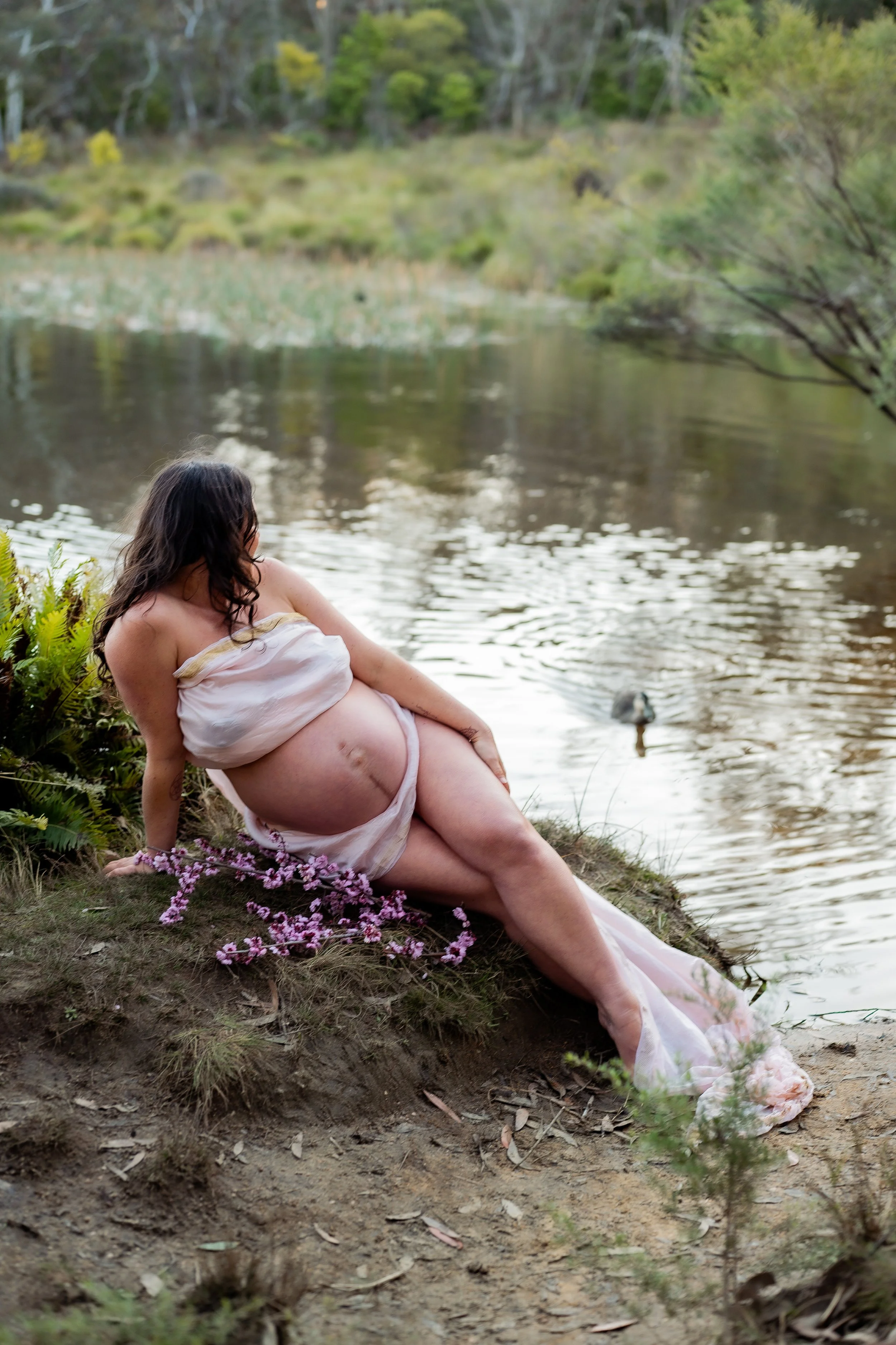 Azari-138.jpg