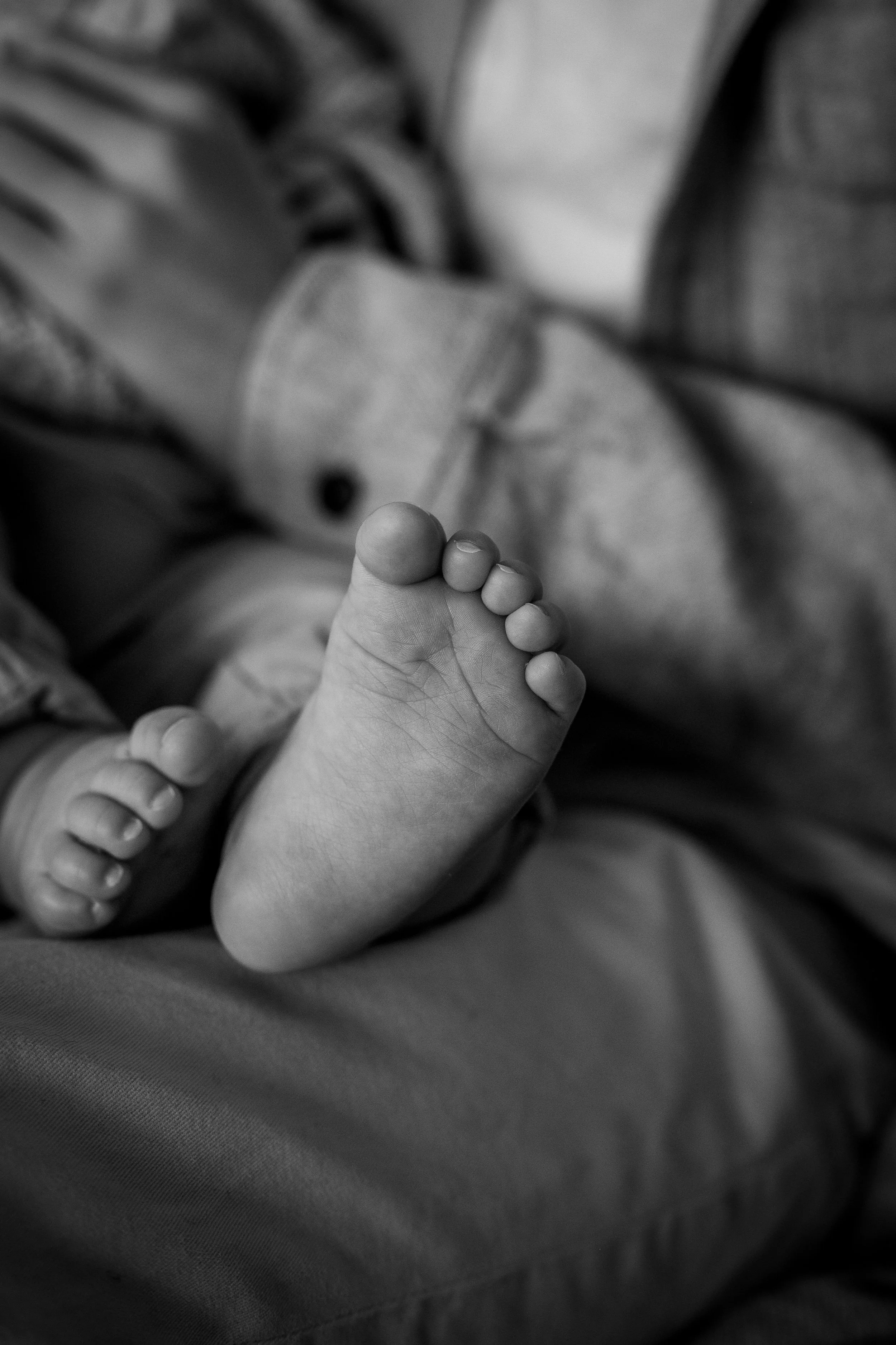 baby Logan-8.jpg