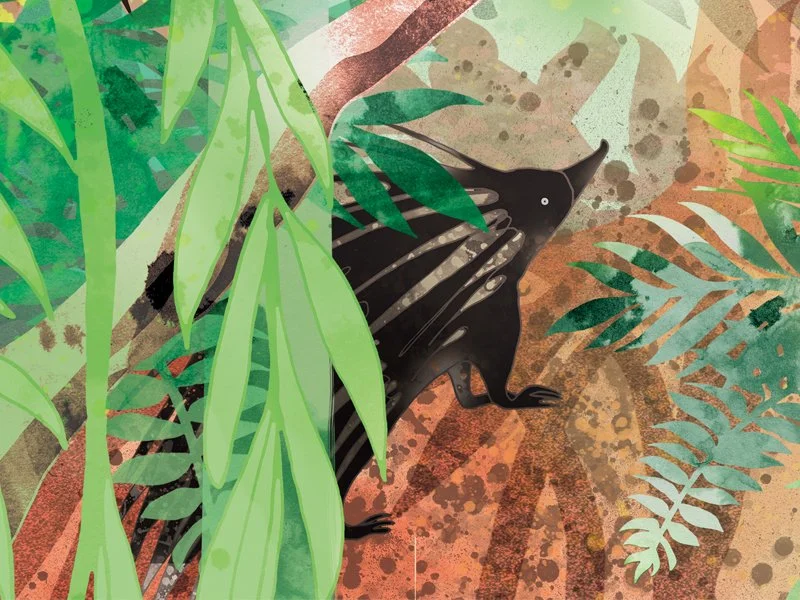 Bex_Glover_biomes_illo_crop_02.jpg
