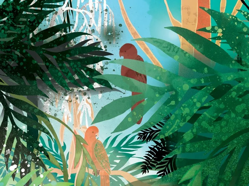 Bex_Glover_biomes_illo_crop_03.jpg