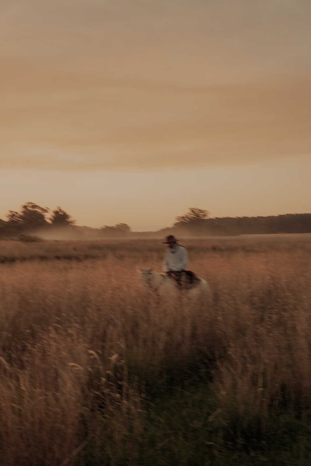 Estancia Don Joaquin - Argentina