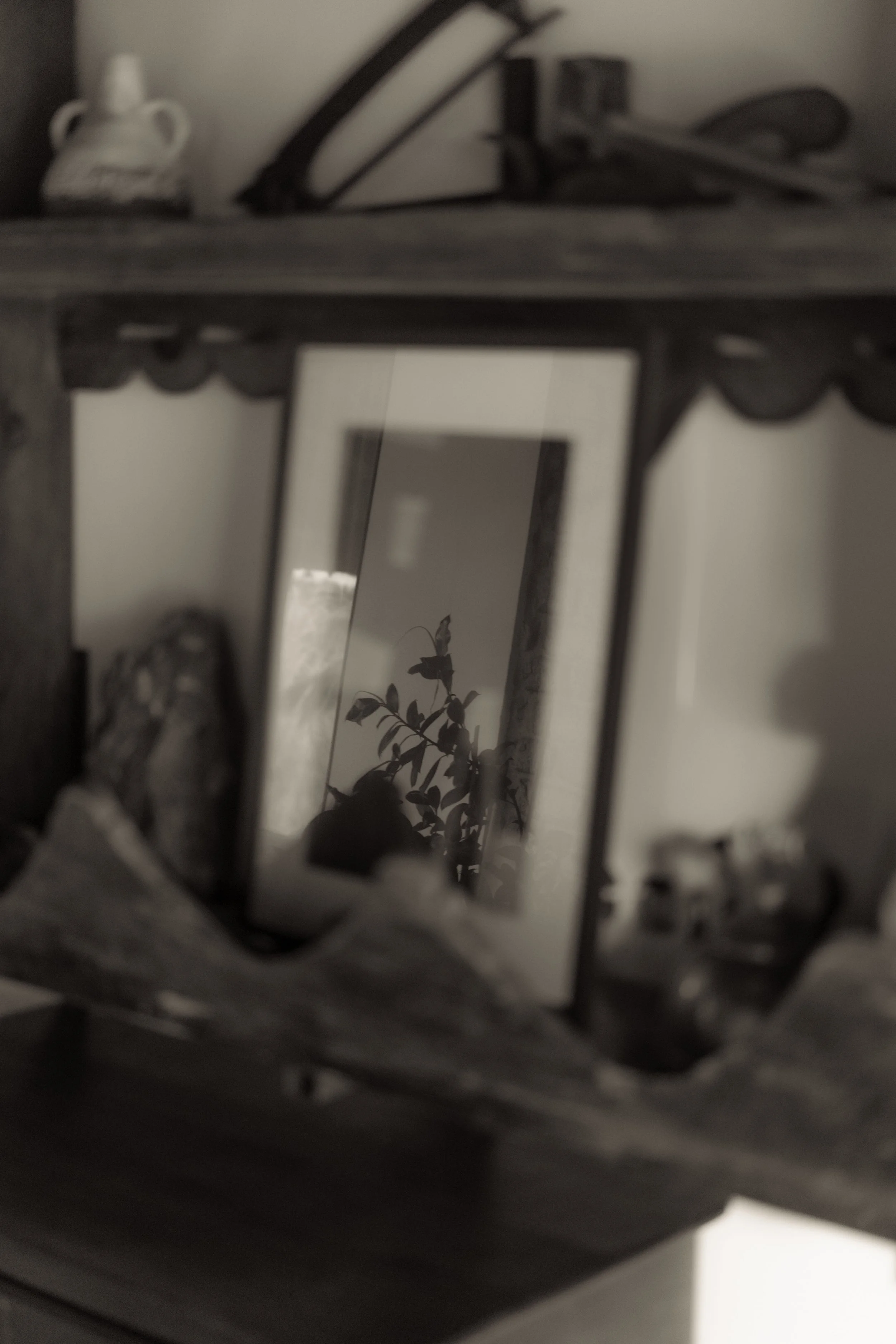 DSC01643.jpg