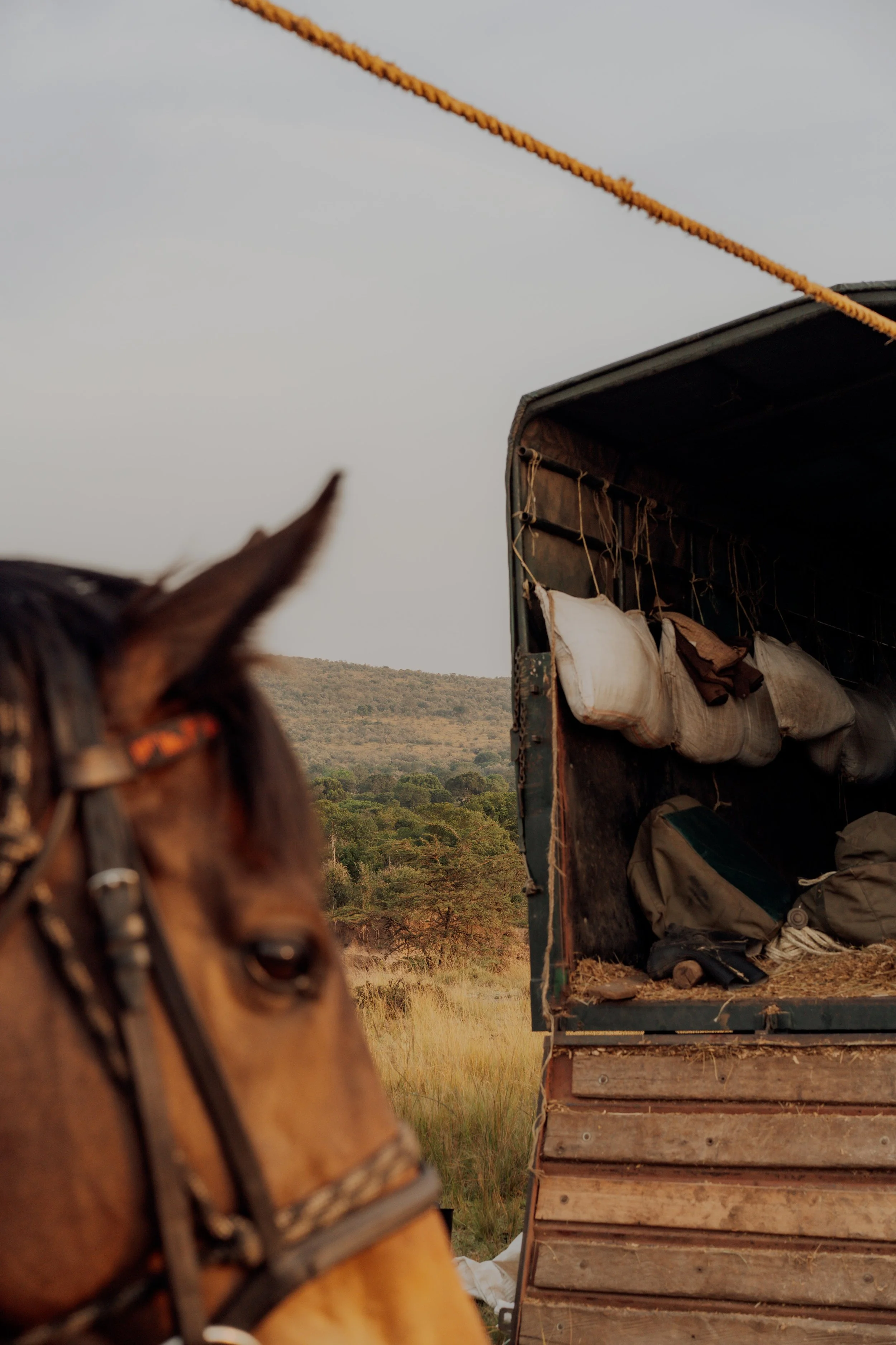 Offbeat Riding Safaris - Kenya