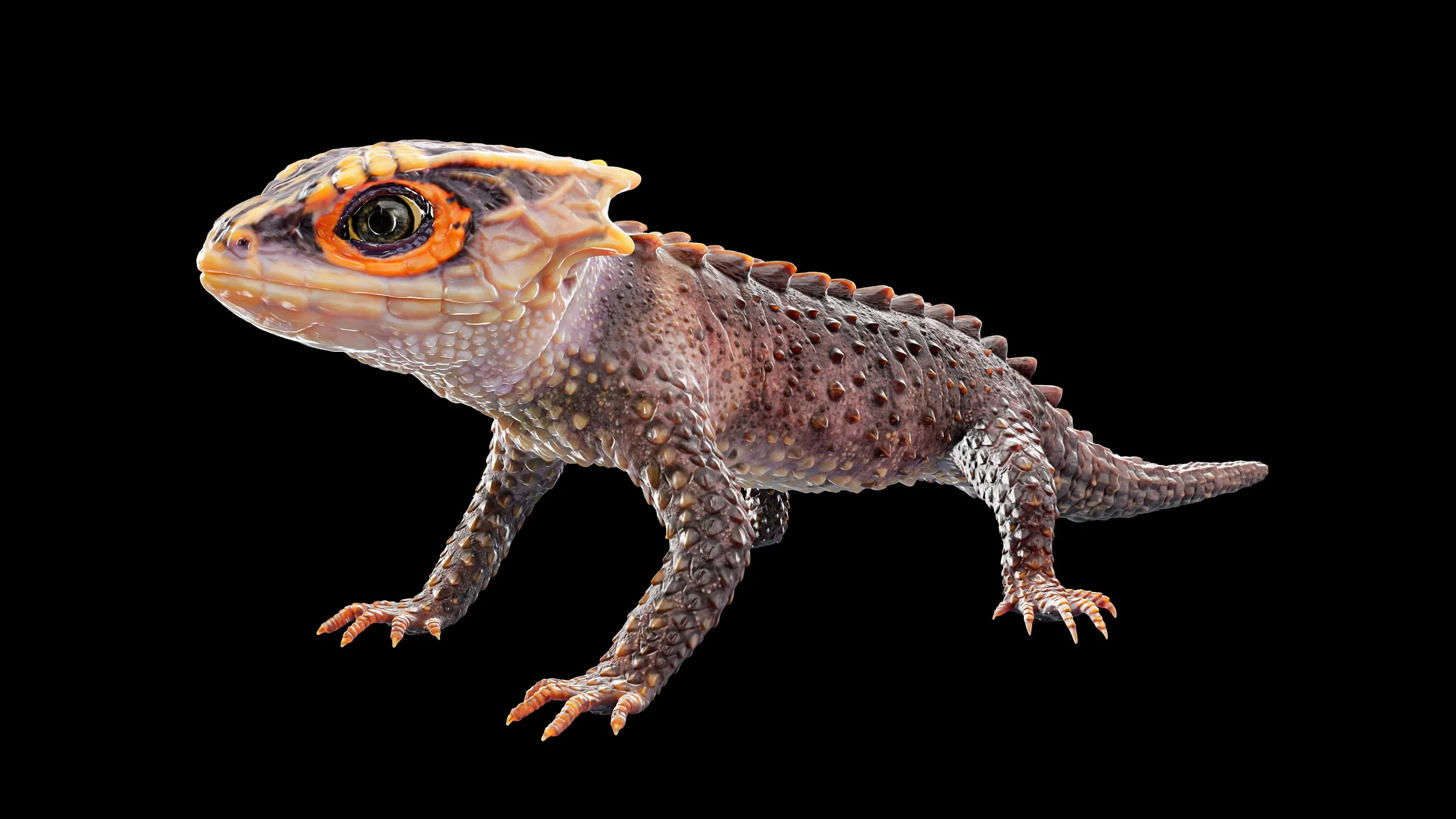 3 quarter - photoshop.jpg