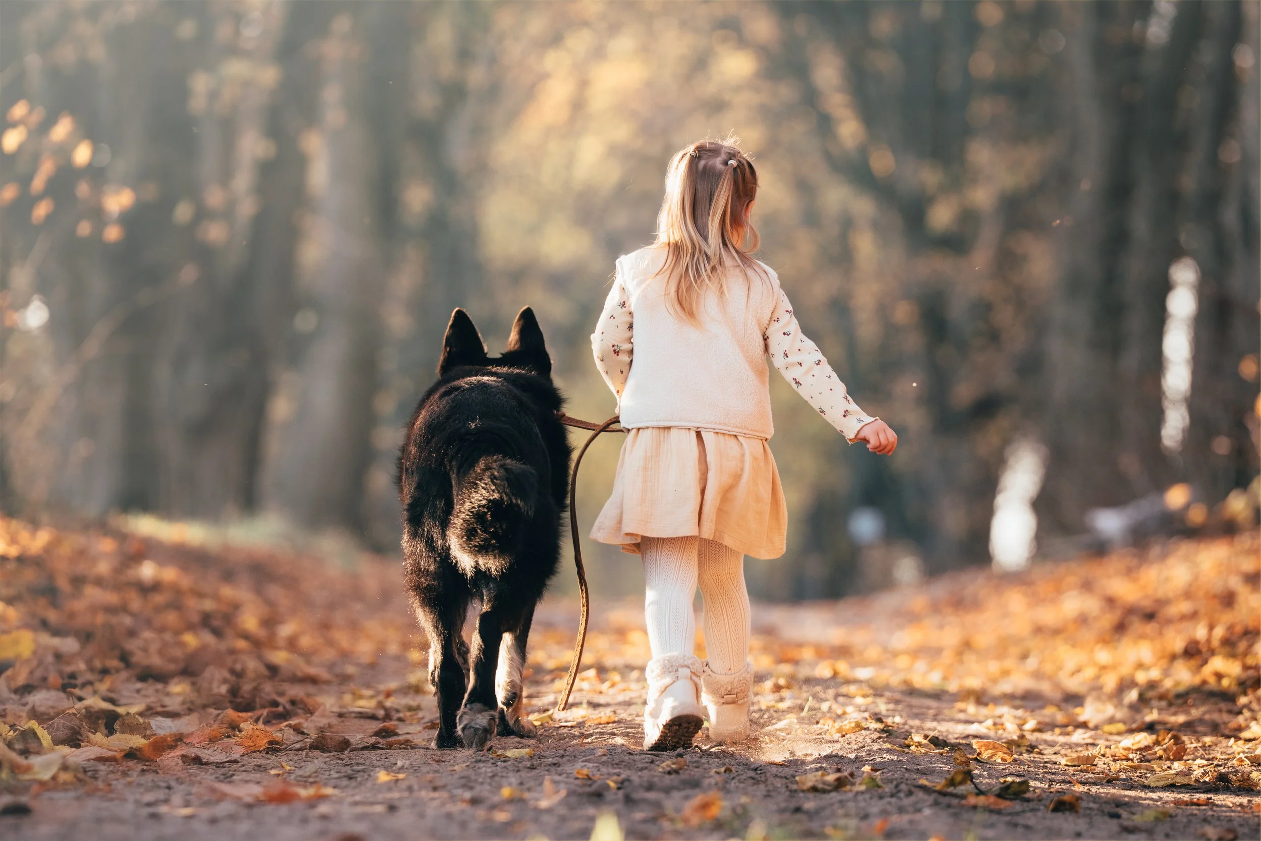 Kind läuft mit Hund durch einen ruhigen Waldweg im warmen Licht