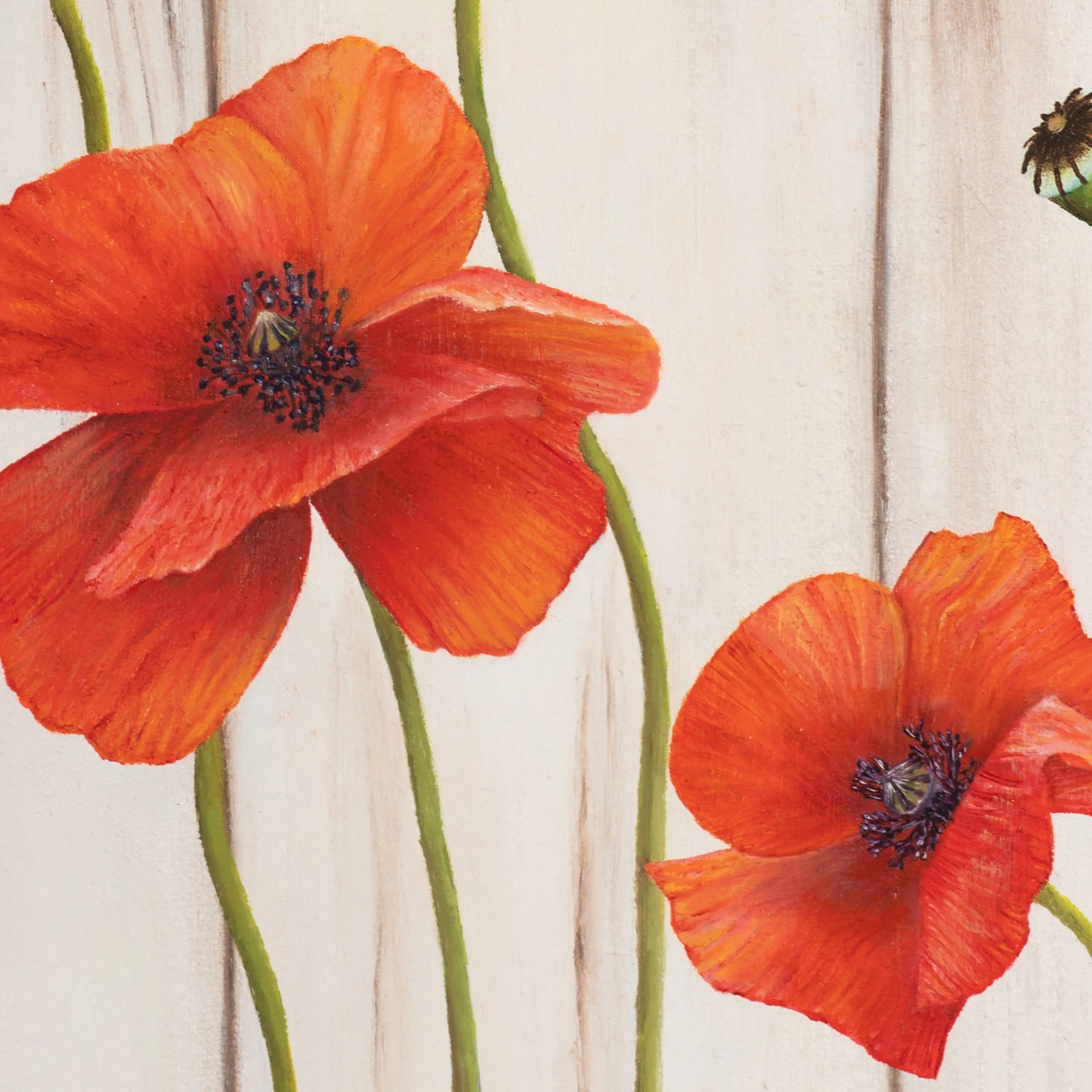 Nina-Helms_Kraftvolle Sommerschönheiten_Detail.jpg