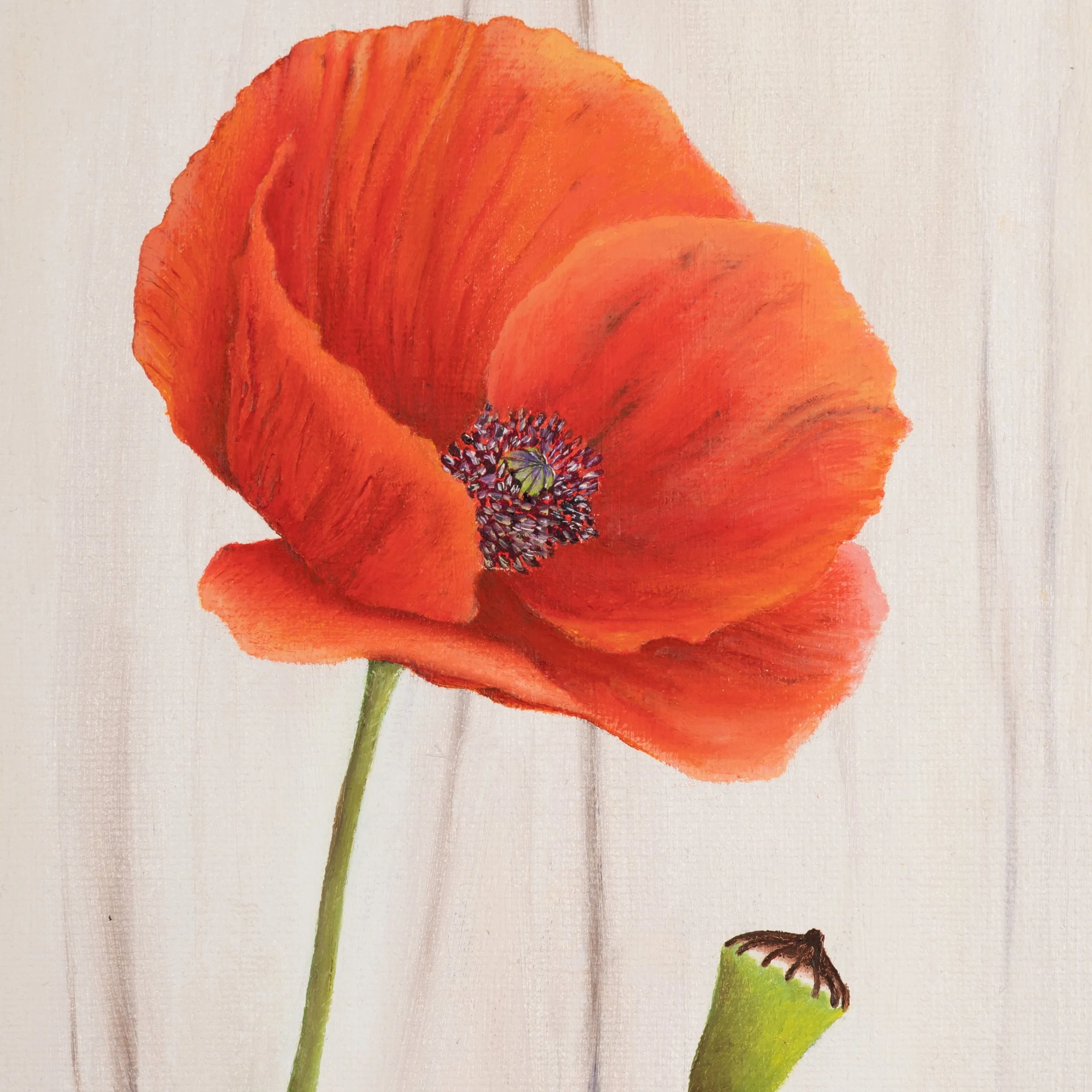 Nina-Helms_Kraftvolle Sommerschönheiten_Detail 2.jpg