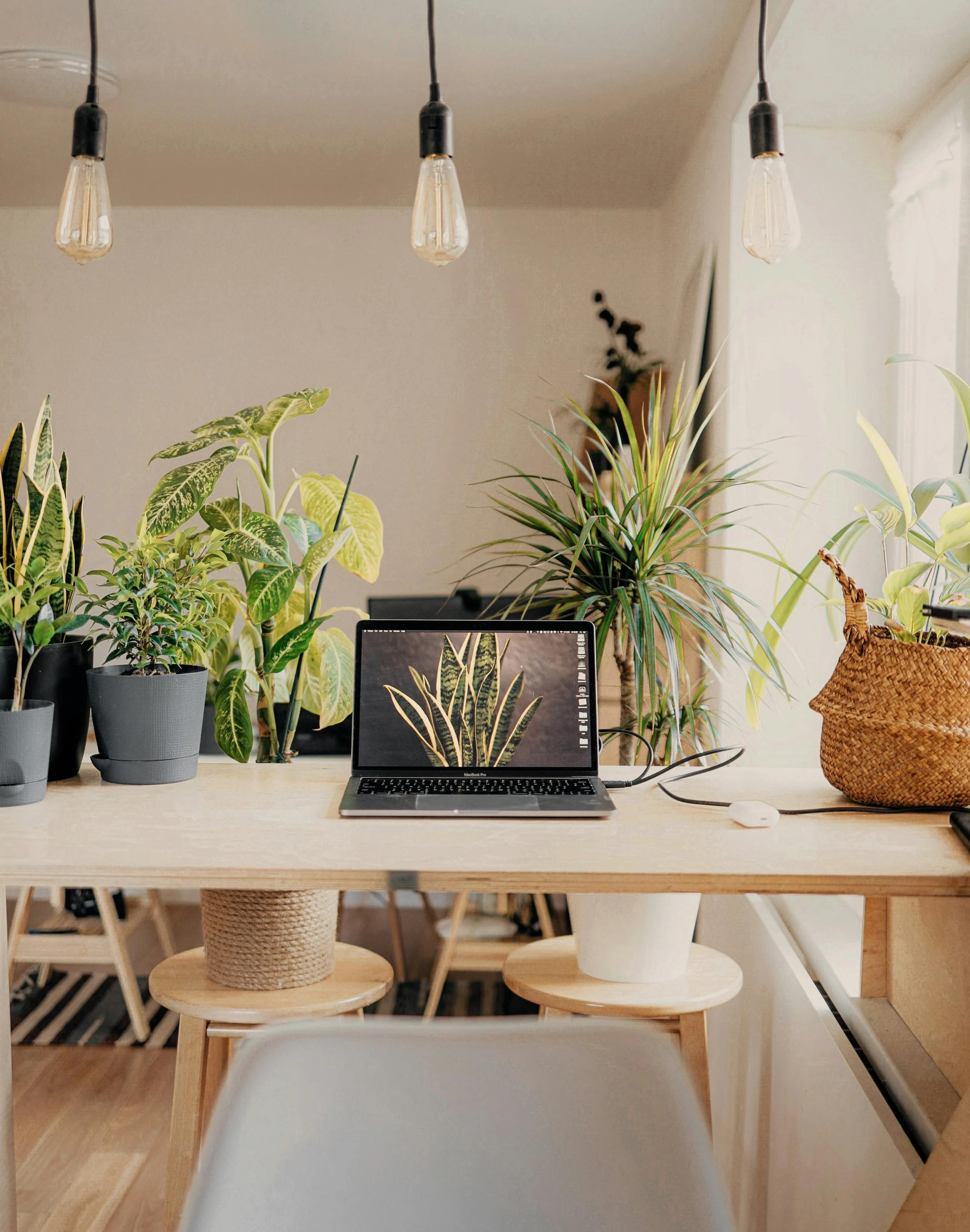 A Quiet Threshold: A 5-Movement Guide to Hosting Online Spiritual Retreats