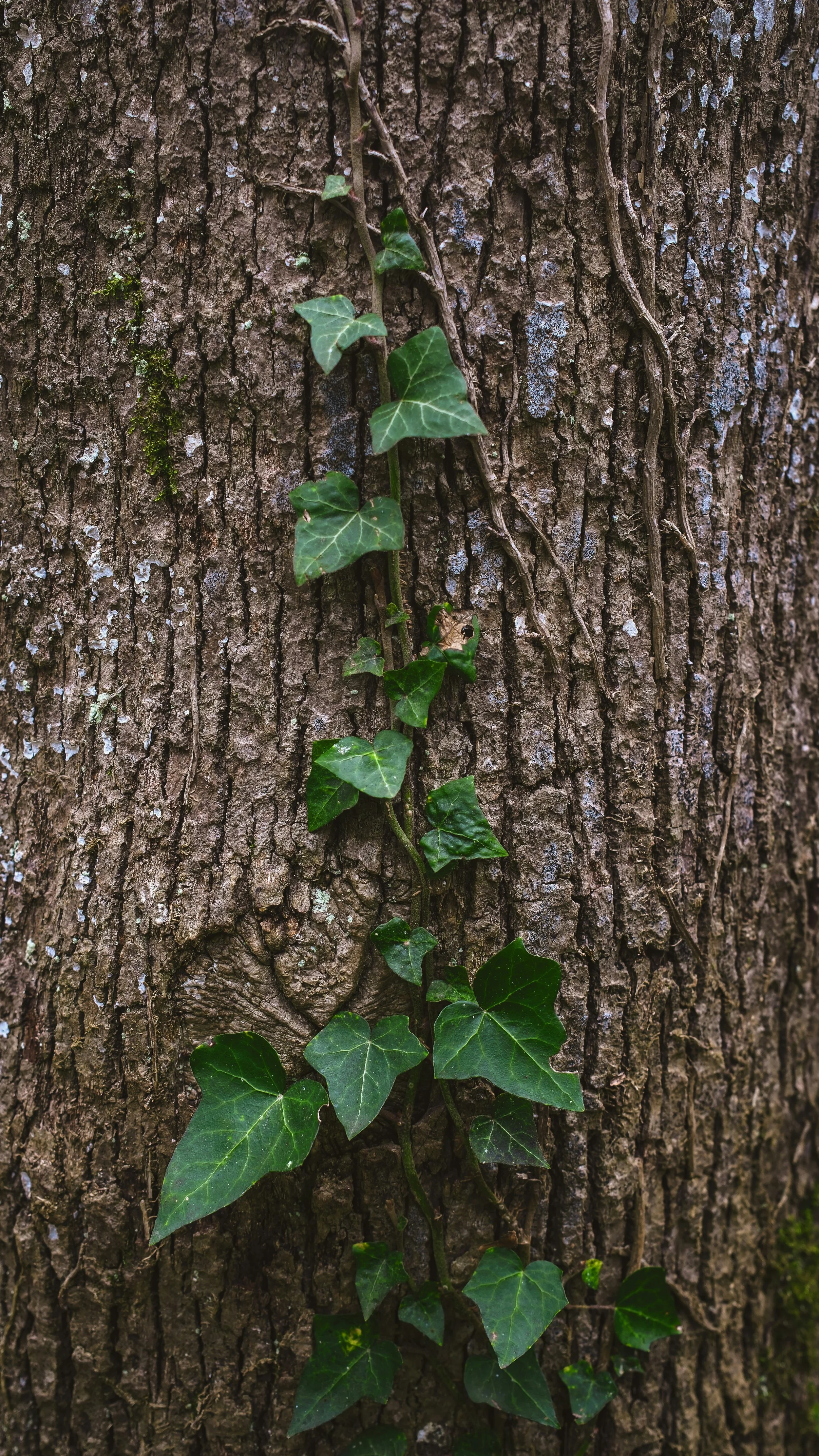A Conversation with Amy Boucher Pye: 7 Ways to Pray