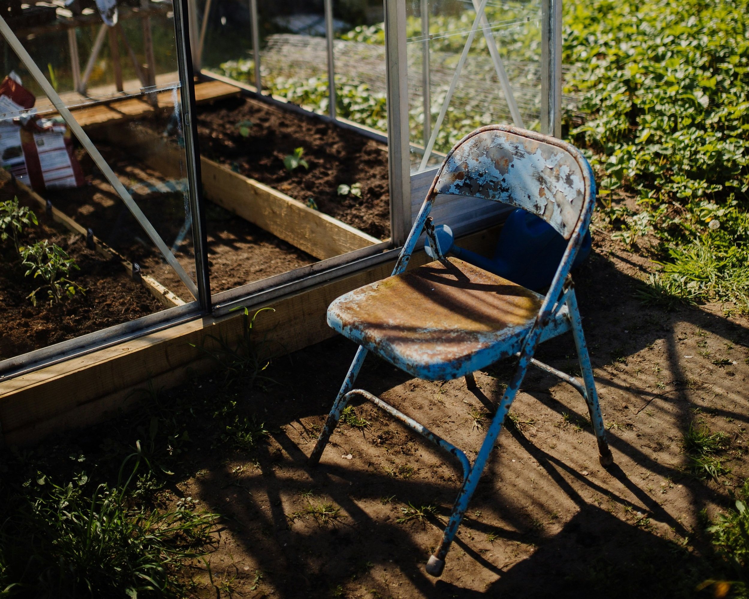 A worn-out blue metal folding chair beside a greenhouse with dirt and plants.