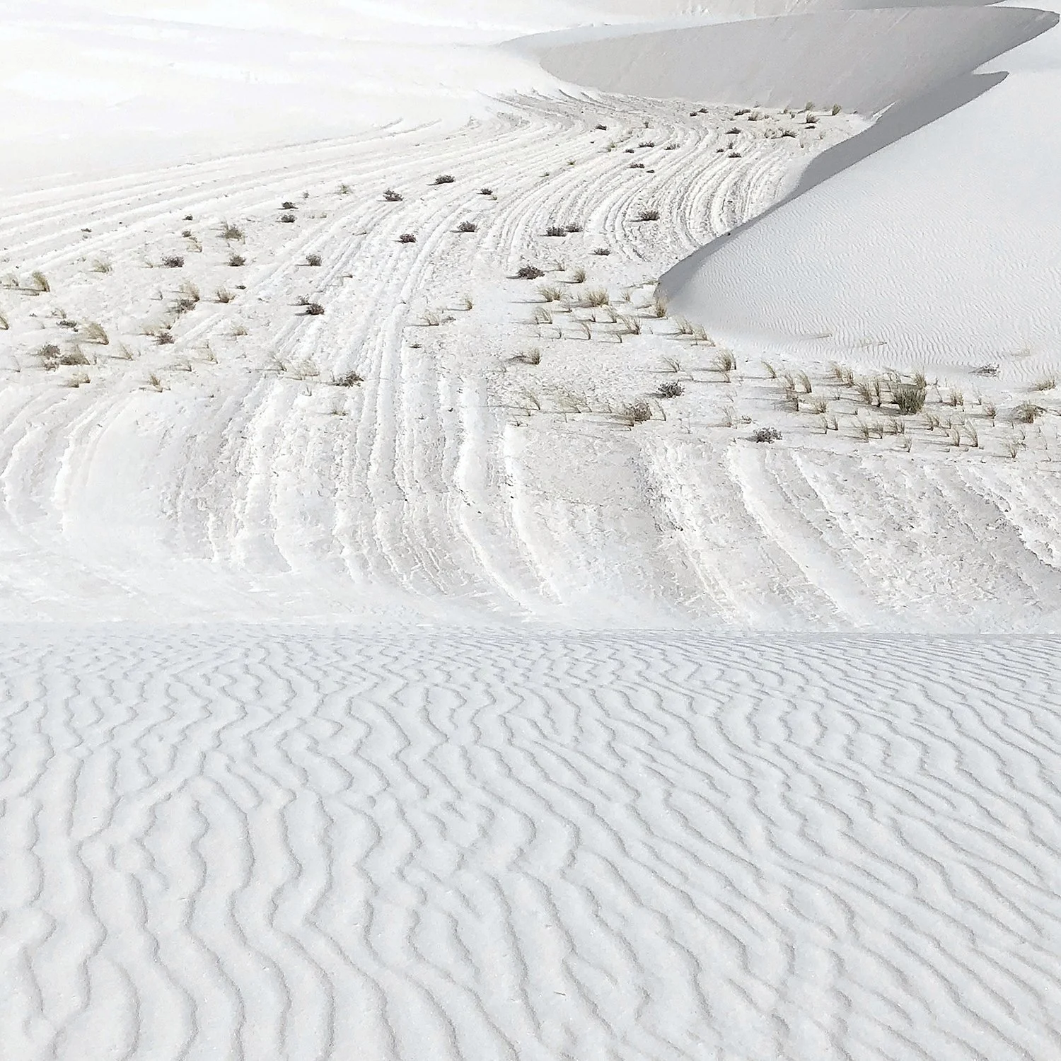 WL_WhiteSands03@1500.jpg