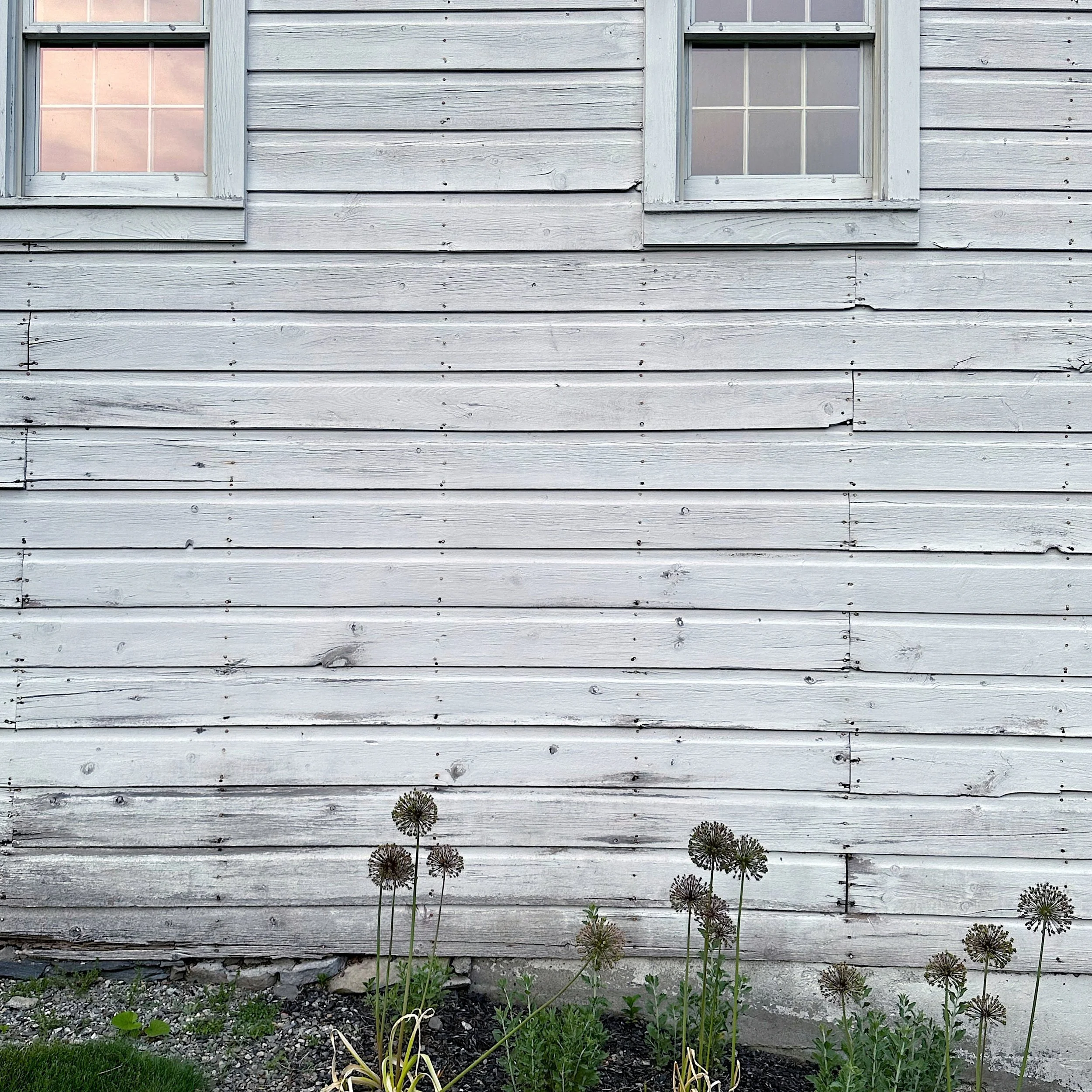 A weathered white wooden house exterior with two small, closed windows and a garden with plants and flowers in front.