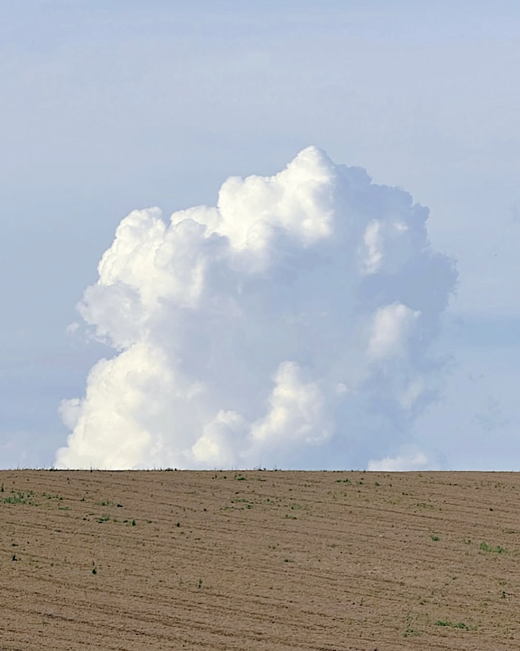 A large, white, fluffy cloud in a light blue sky above a brown, plowed field with small green plants.