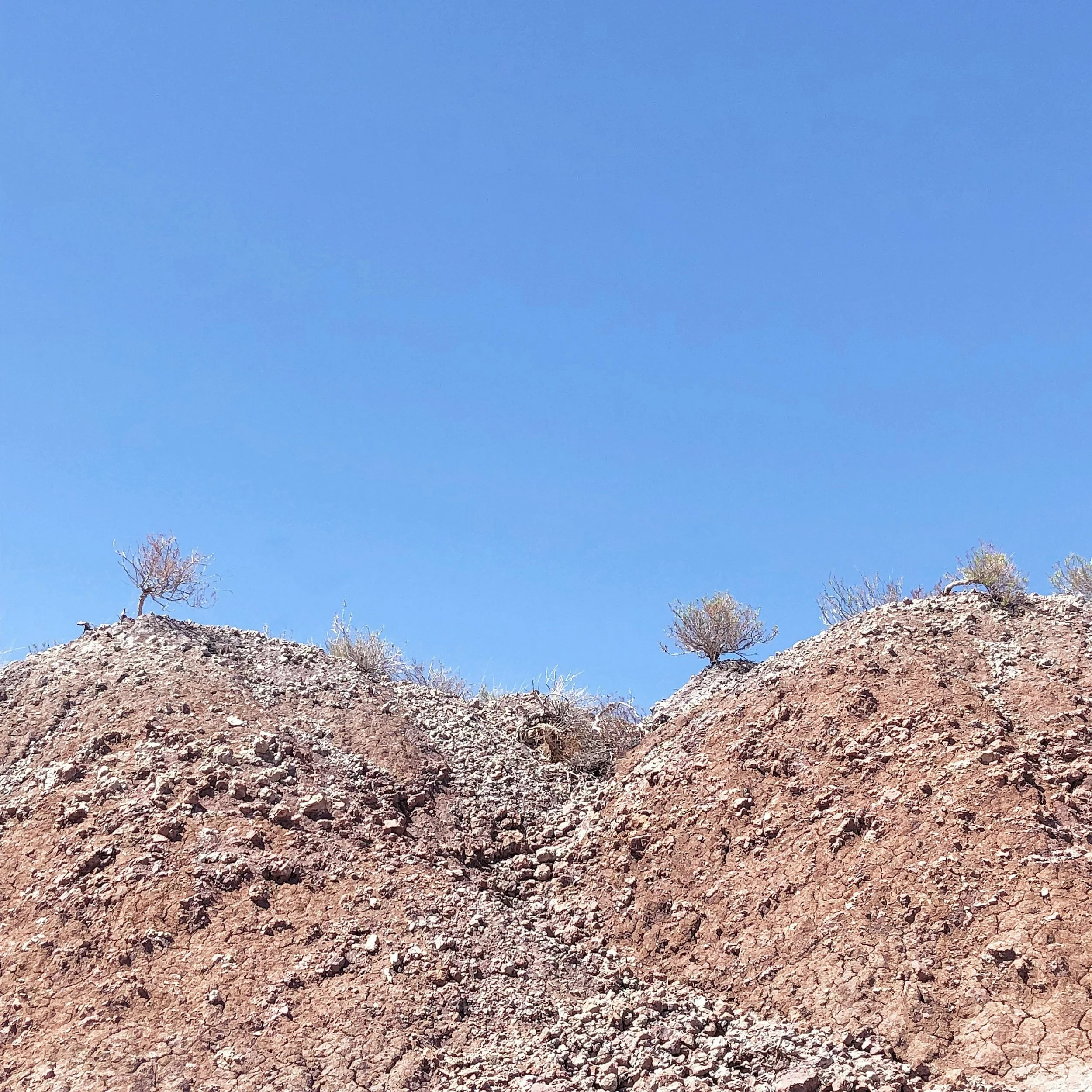 A clear blue sky over a rugged, rocky hillside with sparse, leafless trees.