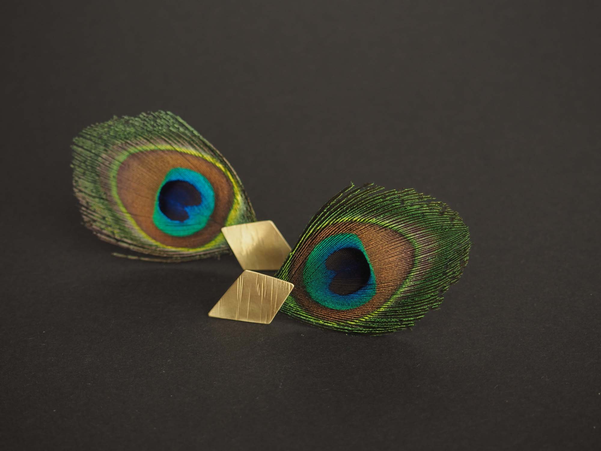 feather earrings, pavo real