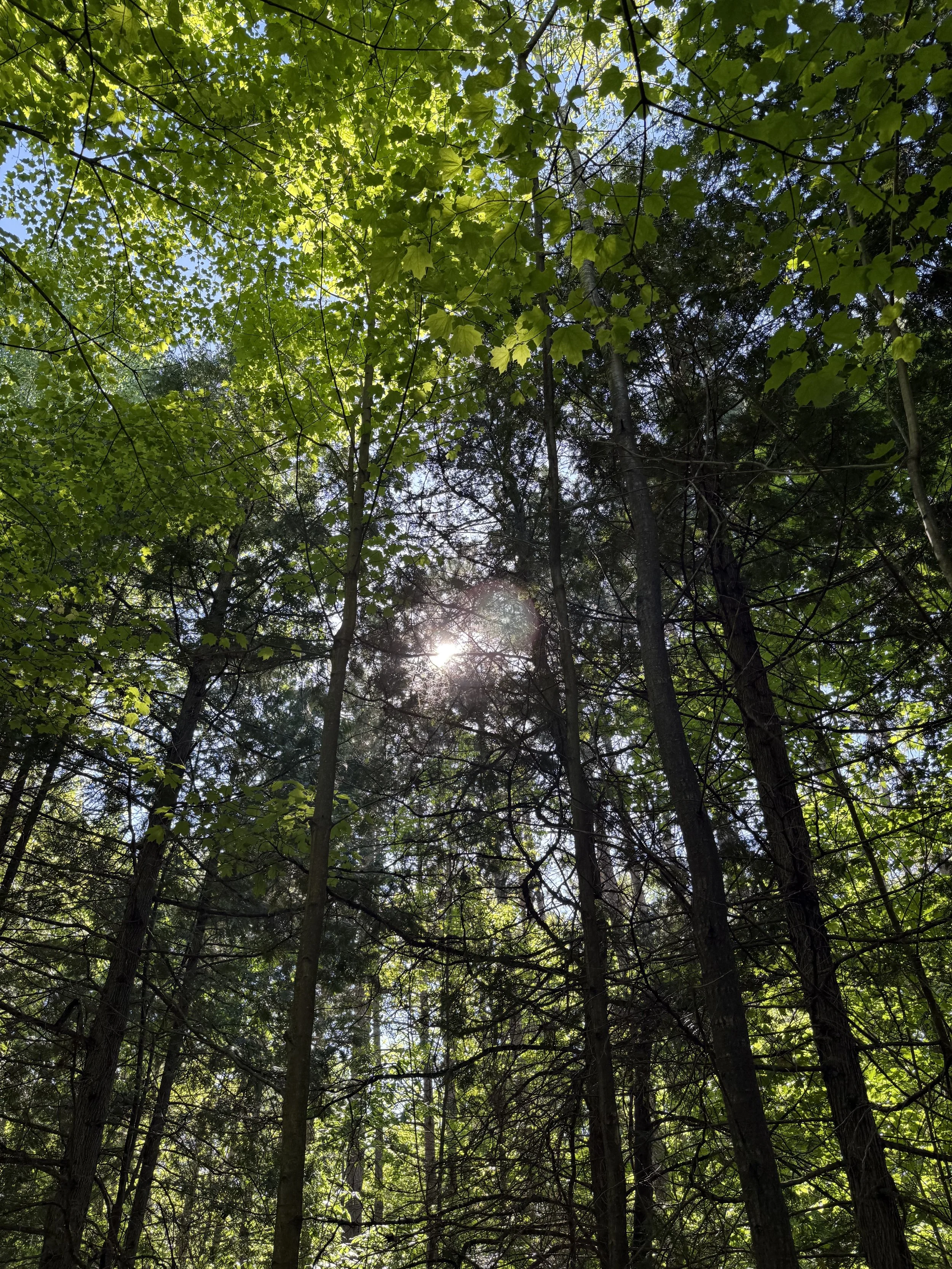 Affordable Wellness Retreats Near Toronto with Mel Cundari 